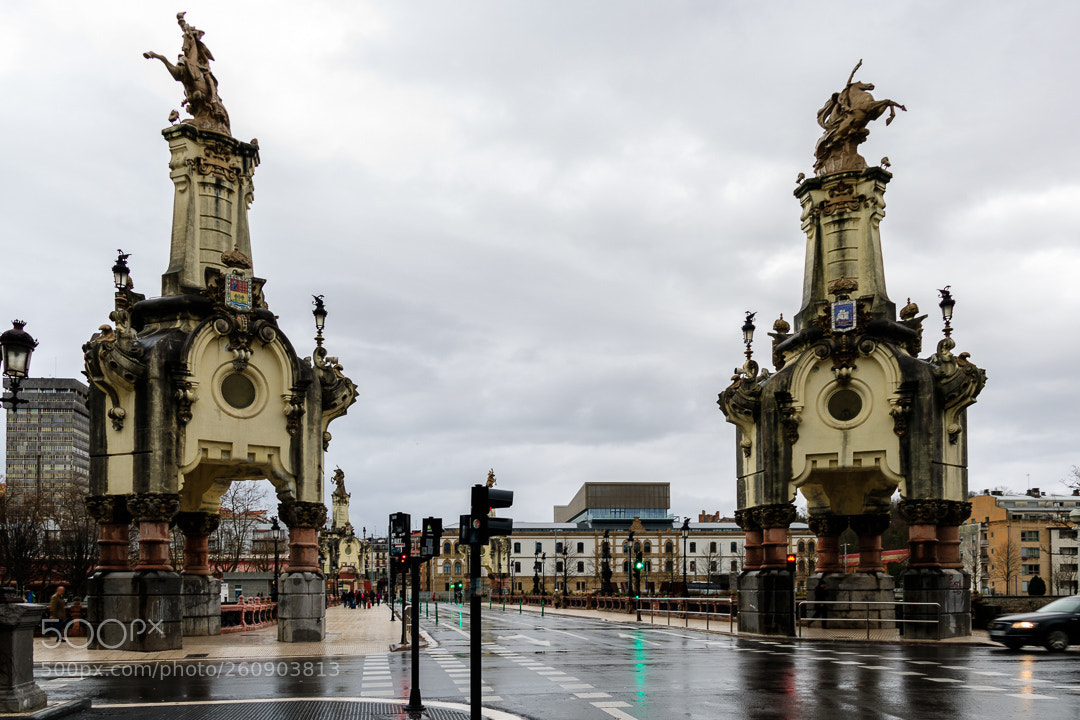 Canon EOS 750D (EOS Rebel T6i / EOS Kiss X8i) sample photo. Puente de maria cristina photography
