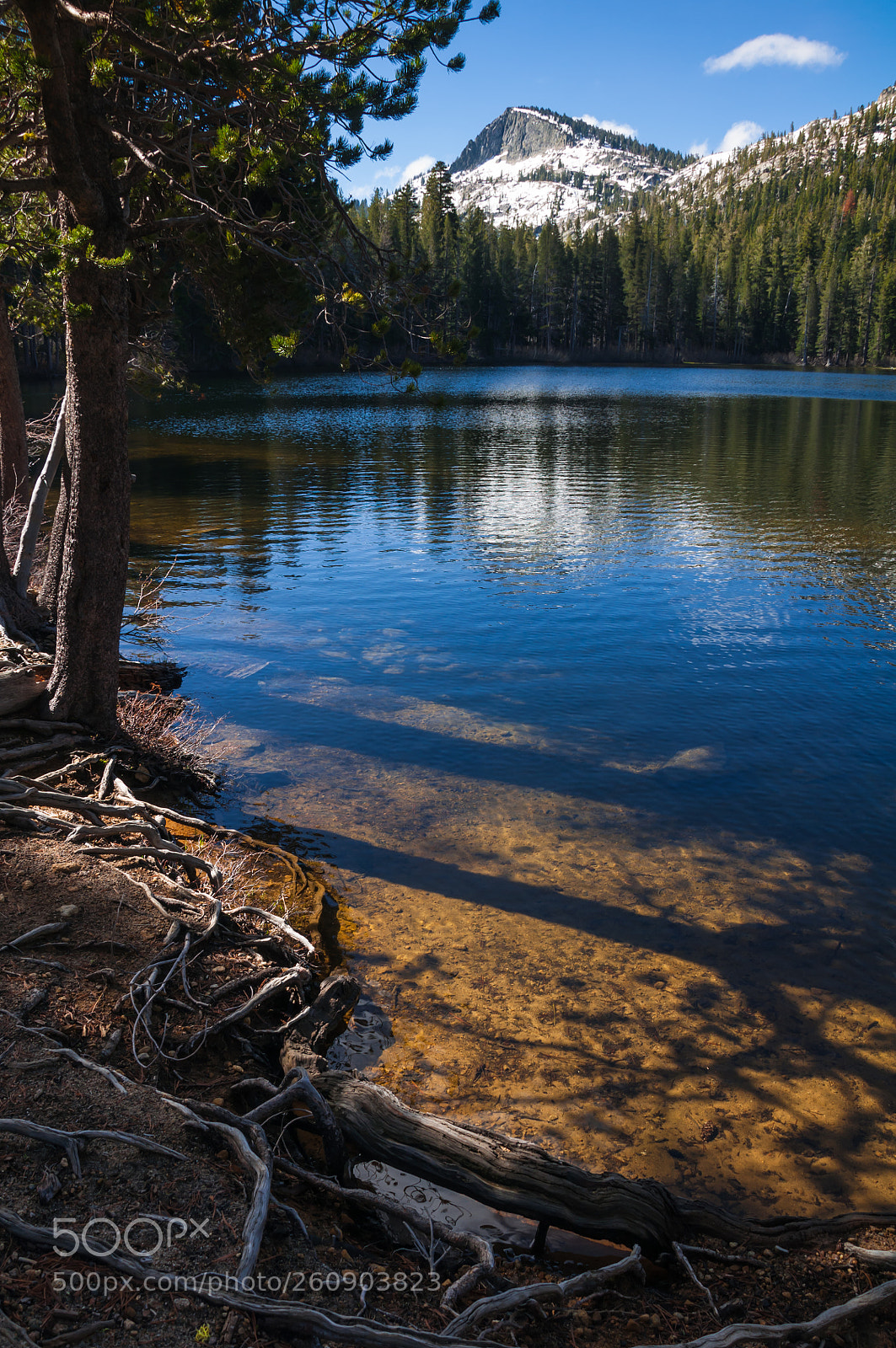 Nikon D90 sample photo. Alpine glow photography
