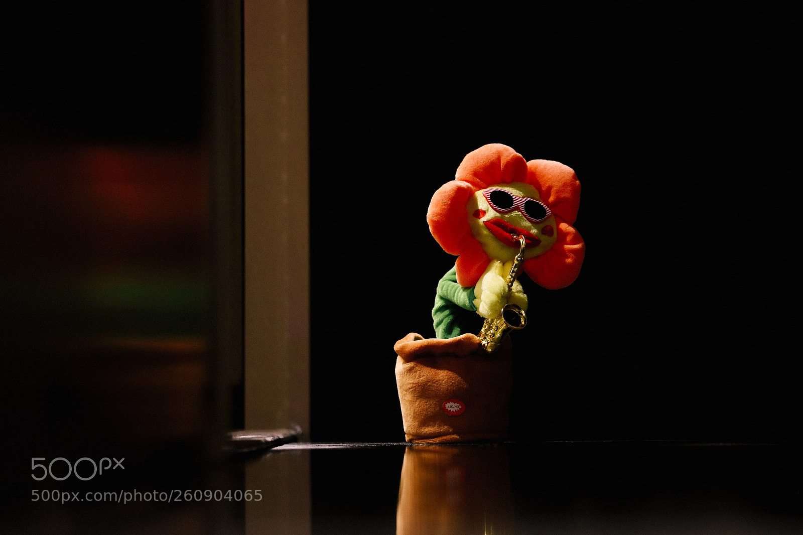 Canon EOS 5DS sample photo. 贱兮兮 photography