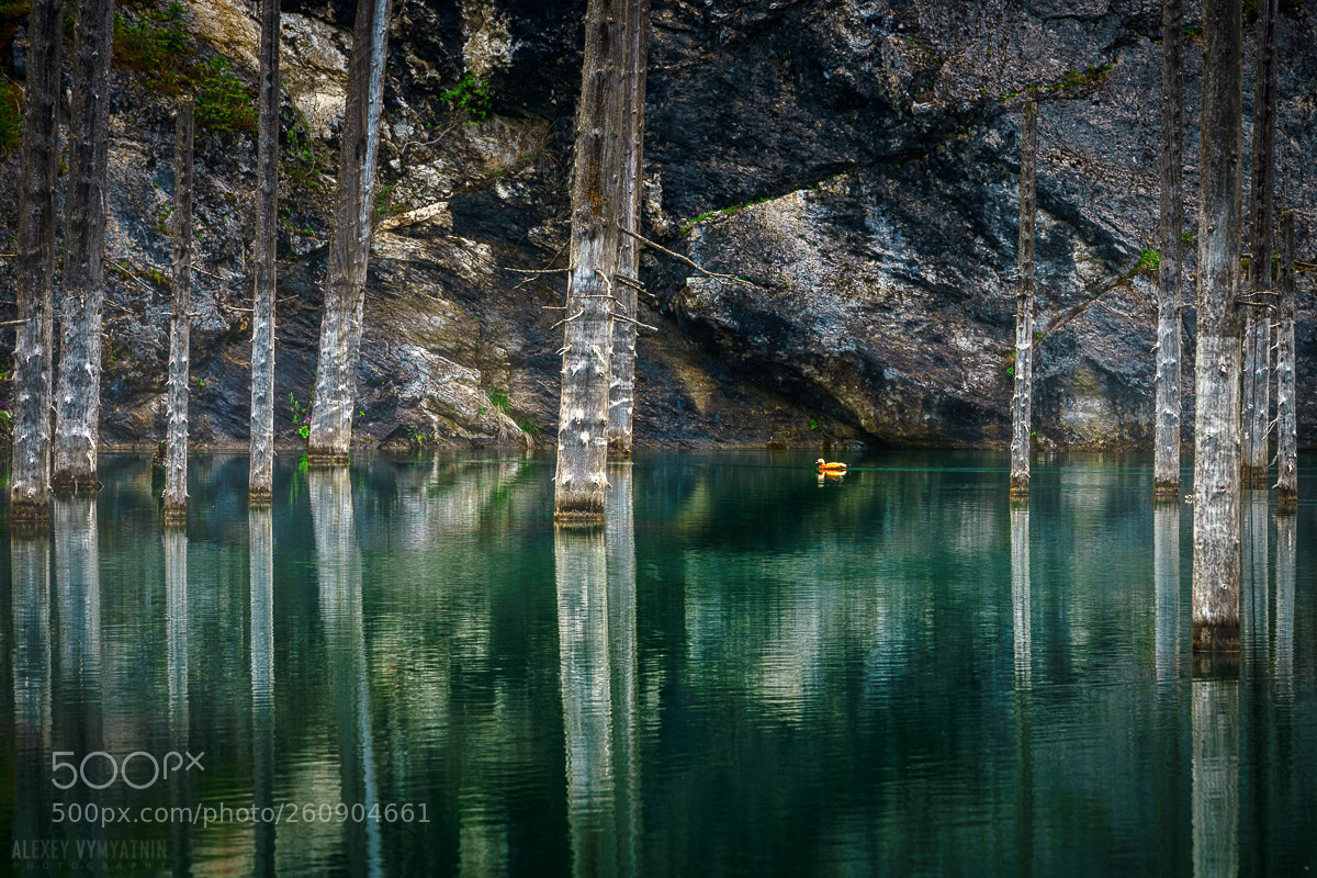 Sony a7 II sample photo. Kaindy lake photography