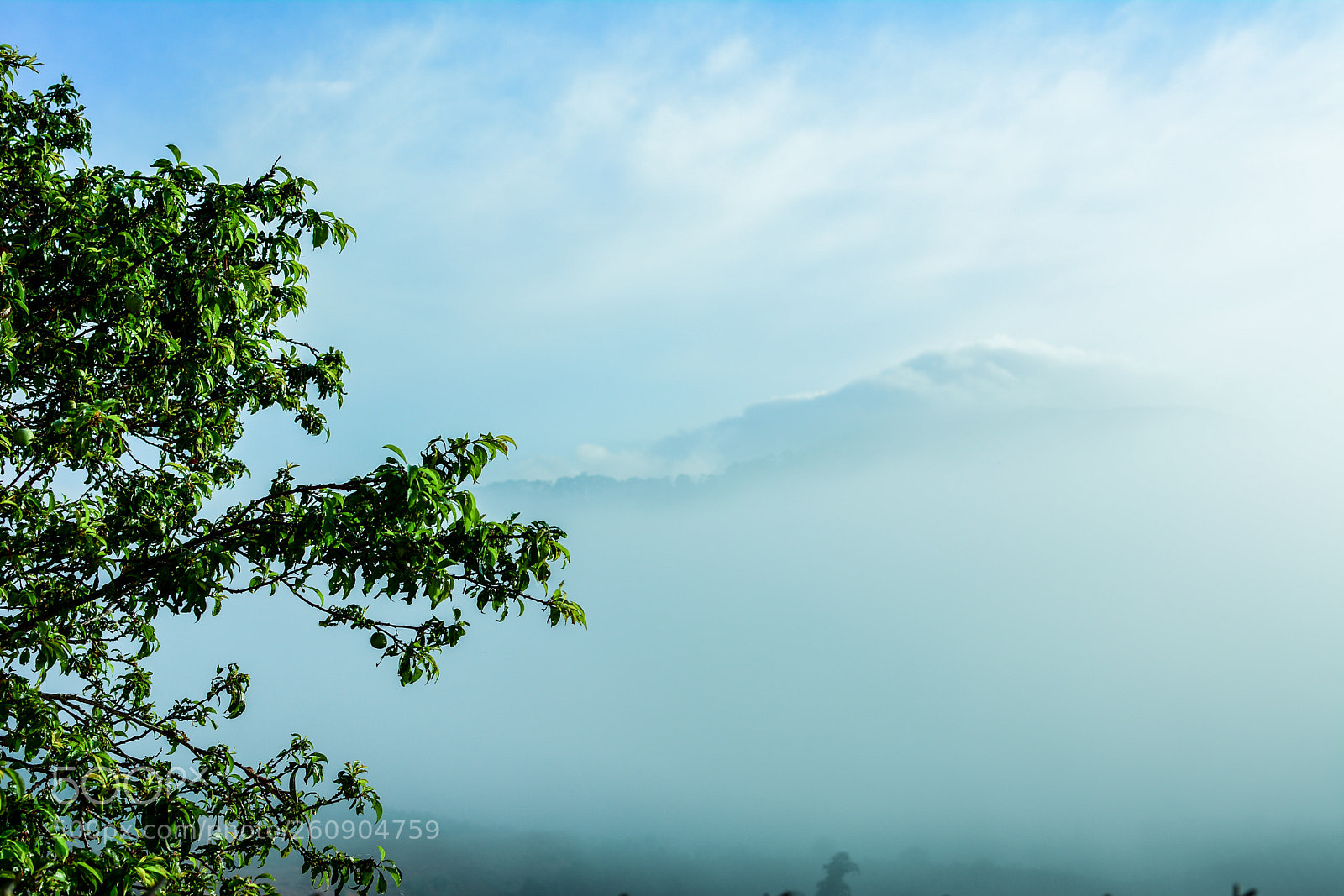 Nikon D7100 sample photo. Morning dalat city photography