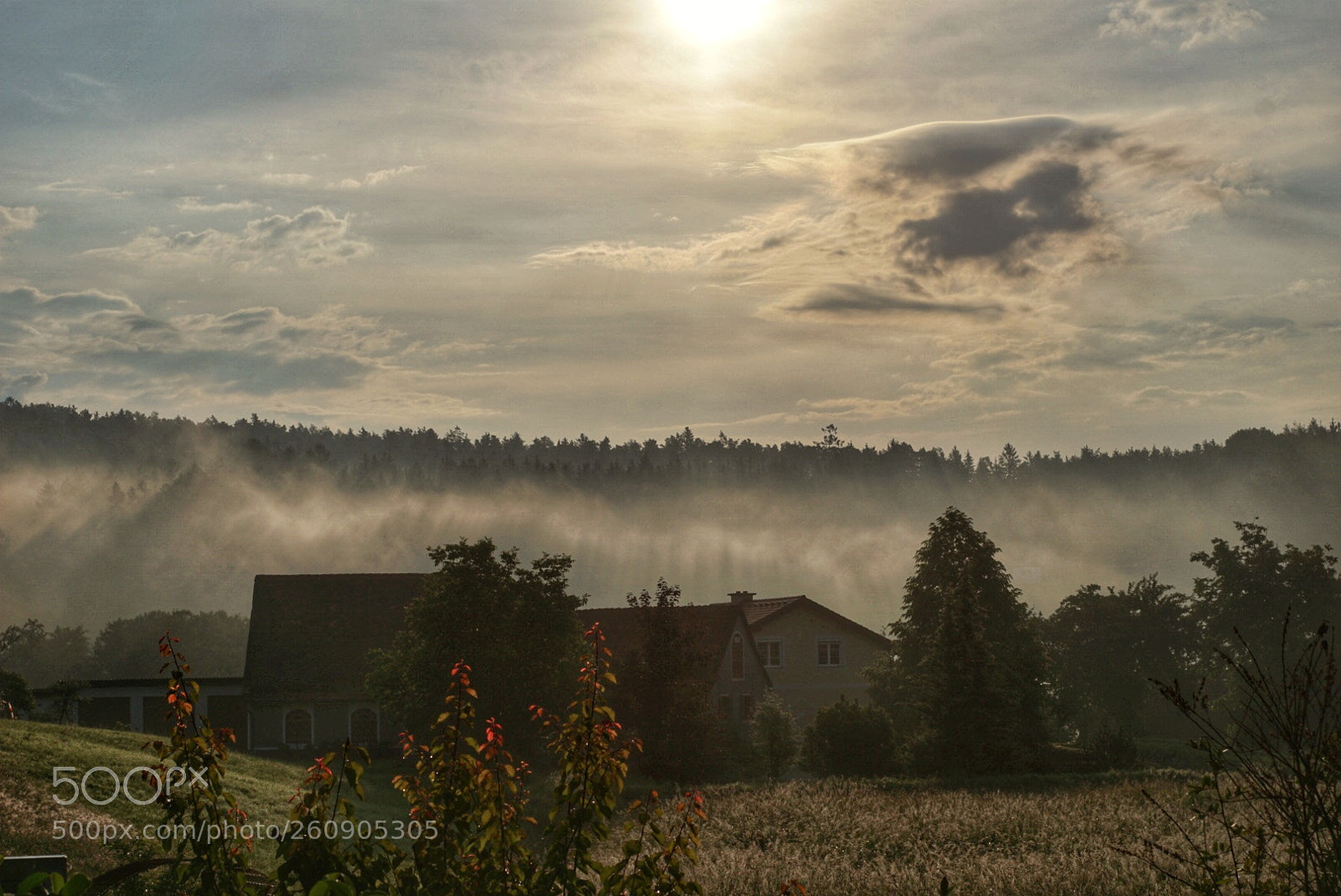 Sony a6000 sample photo. The view photography