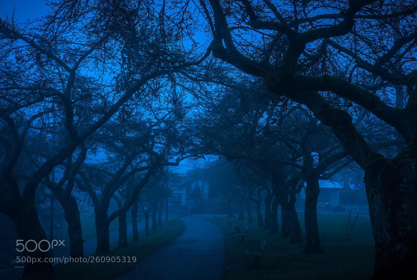 Sony a7 II sample photo. As lonely as blue photography