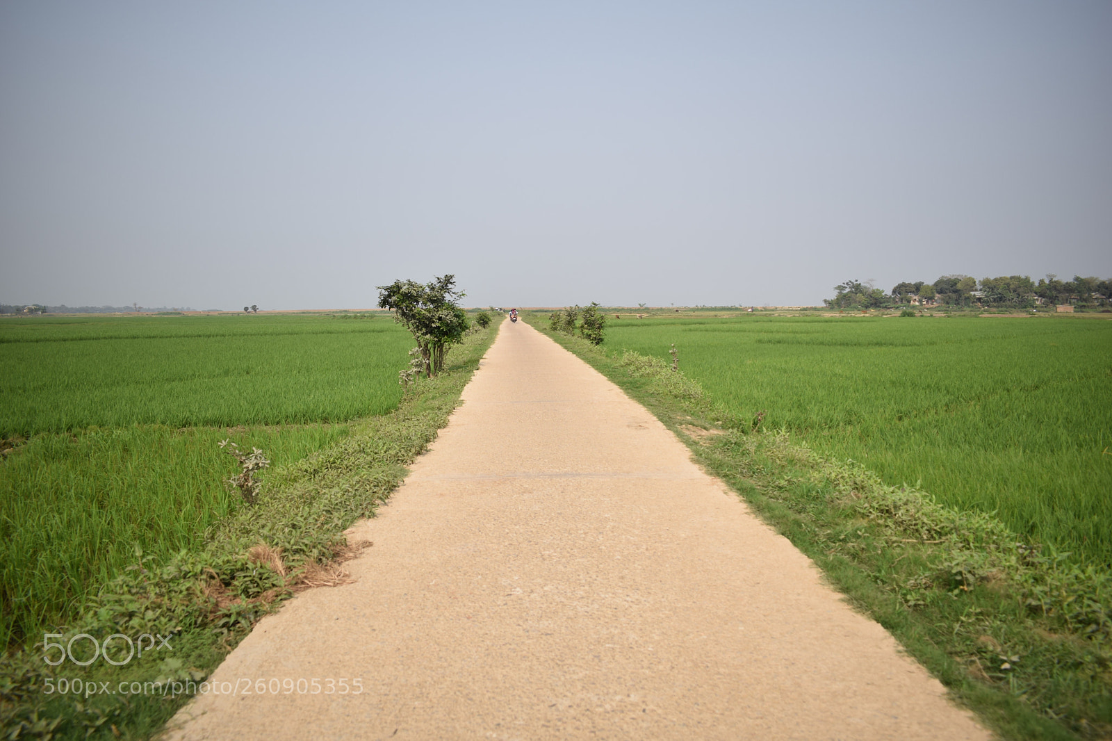 Nikon D5300 sample photo. Road to heaven photography