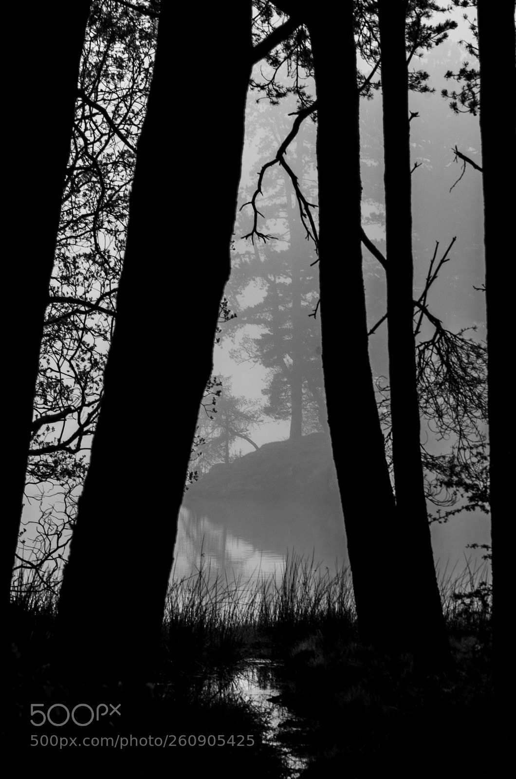 Nikon D7000 sample photo. Lake district photography