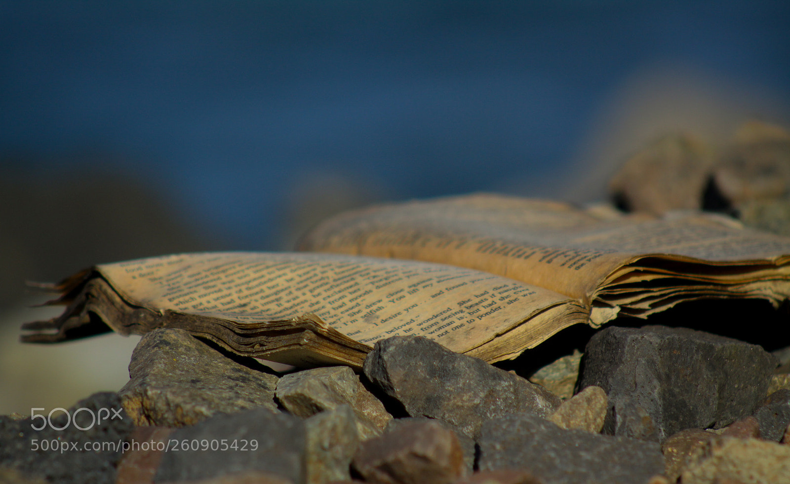 Canon EOS 50D sample photo. Tattered book photography