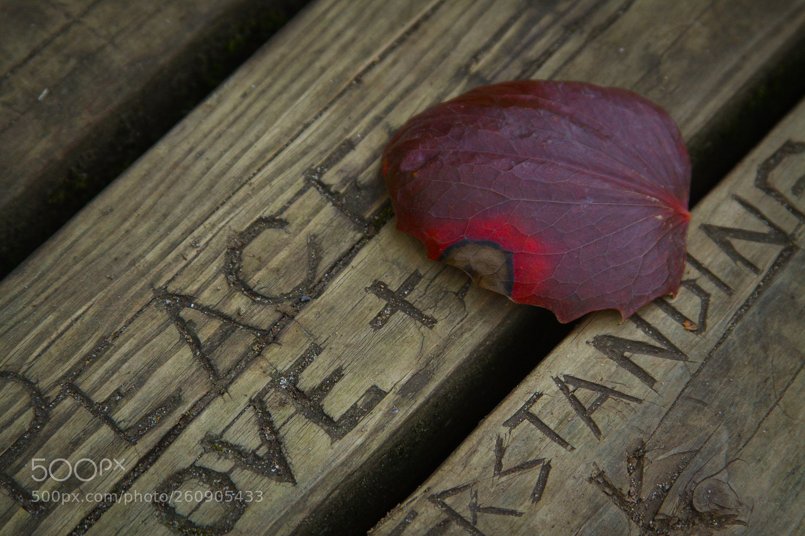 Canon EOS 50D sample photo. Peace love understanding photography