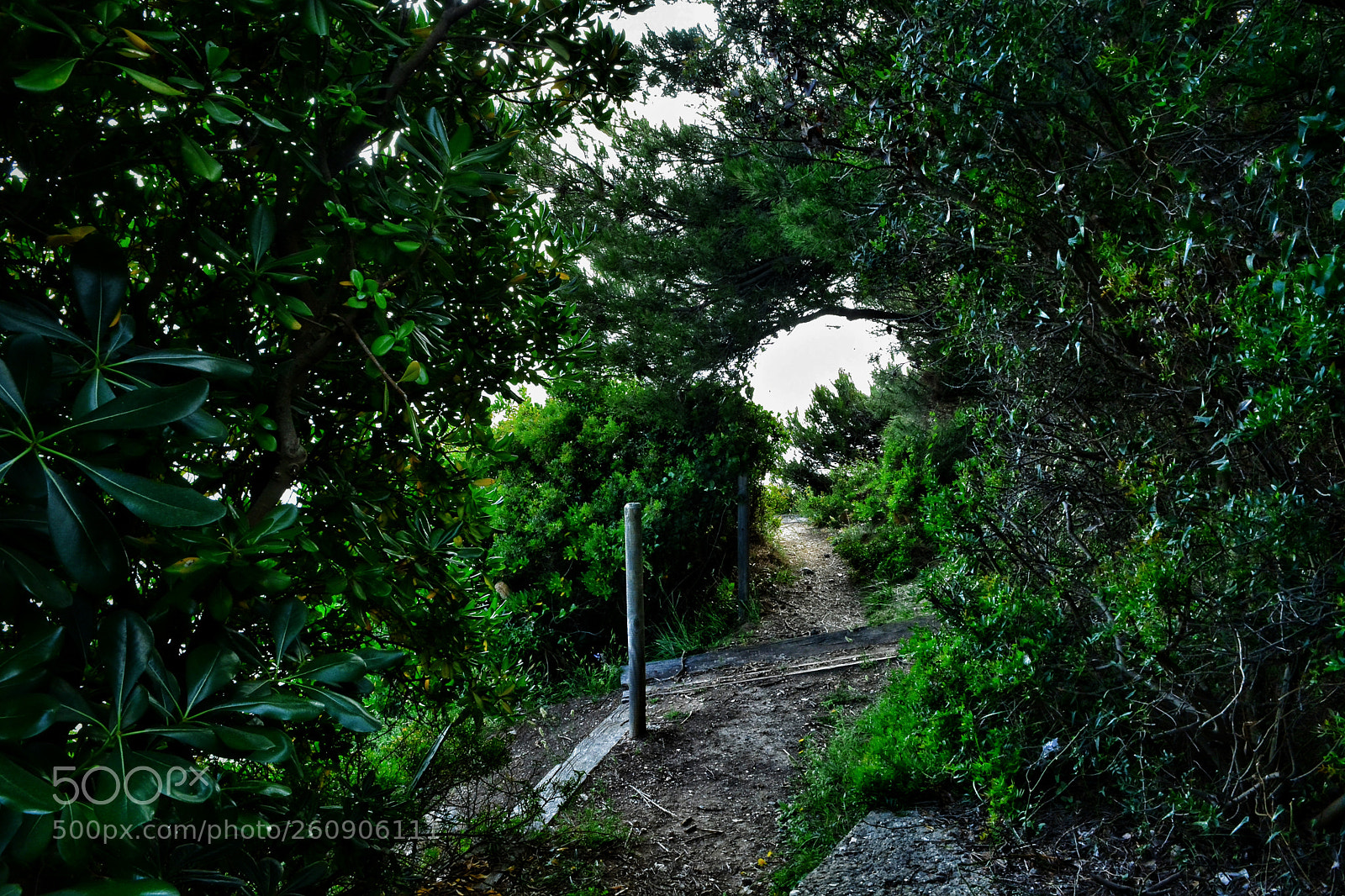 Nikon D5200 sample photo. Untitled photography