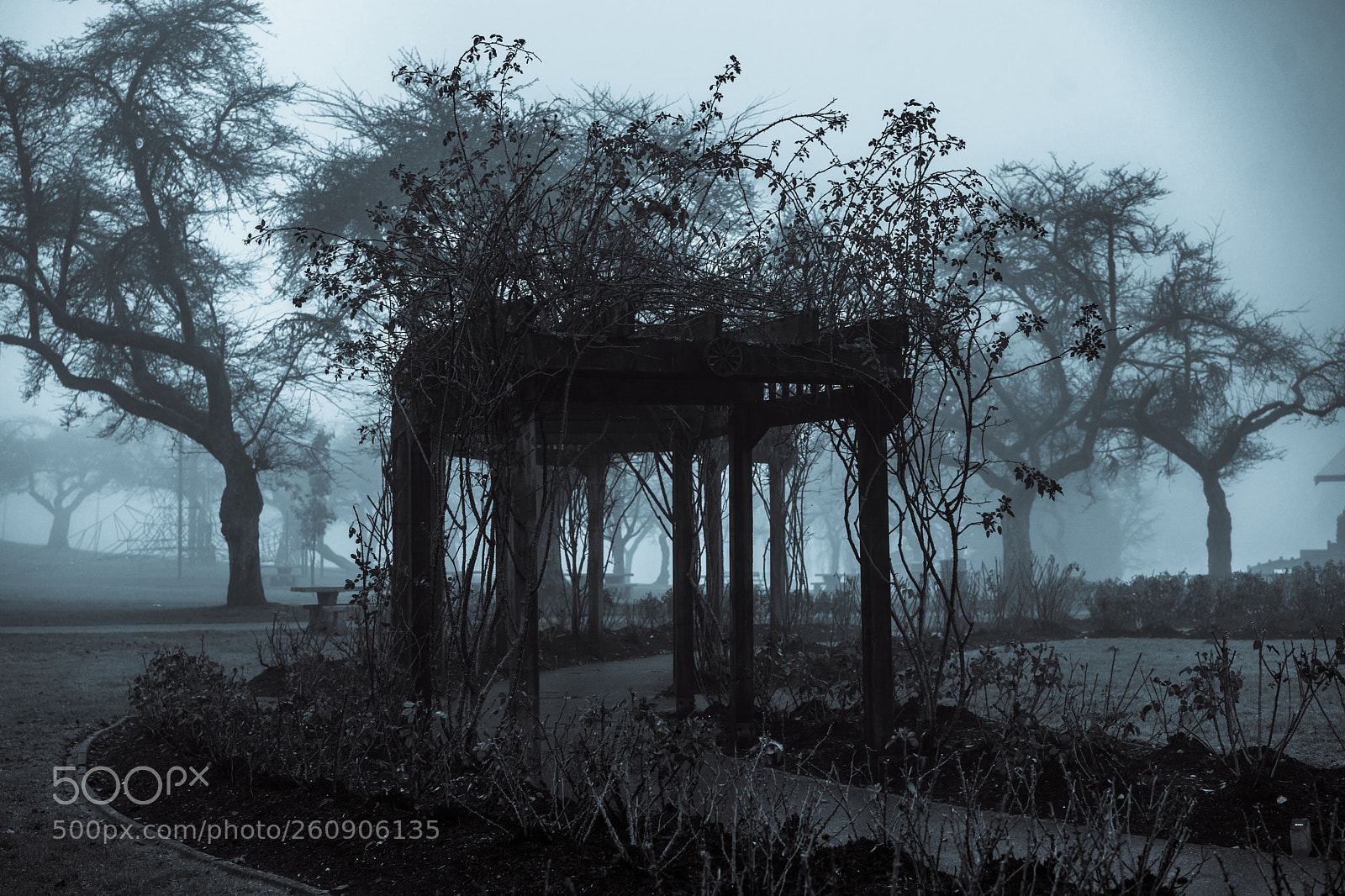 Sony a7 II sample photo. Mysterious and dark photography