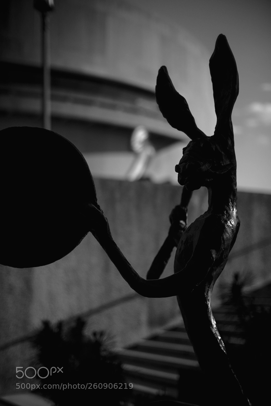 Fujifilm X-Pro2 sample photo. A rabbit and a photography