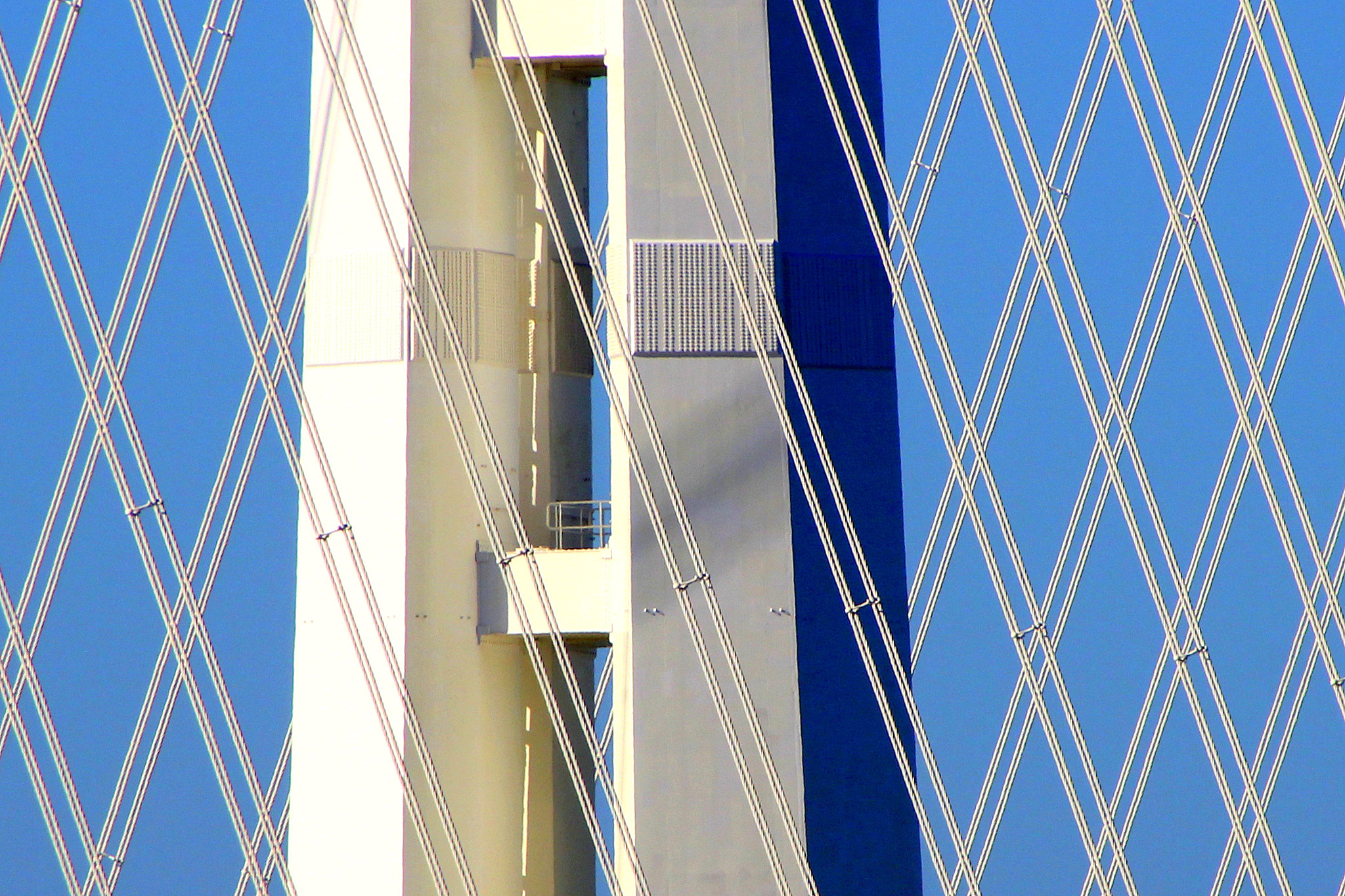 Canon EOS 600D (Rebel EOS T3i / EOS Kiss X5) sample photo. San francisco-oakland bay bridge eastern span photography