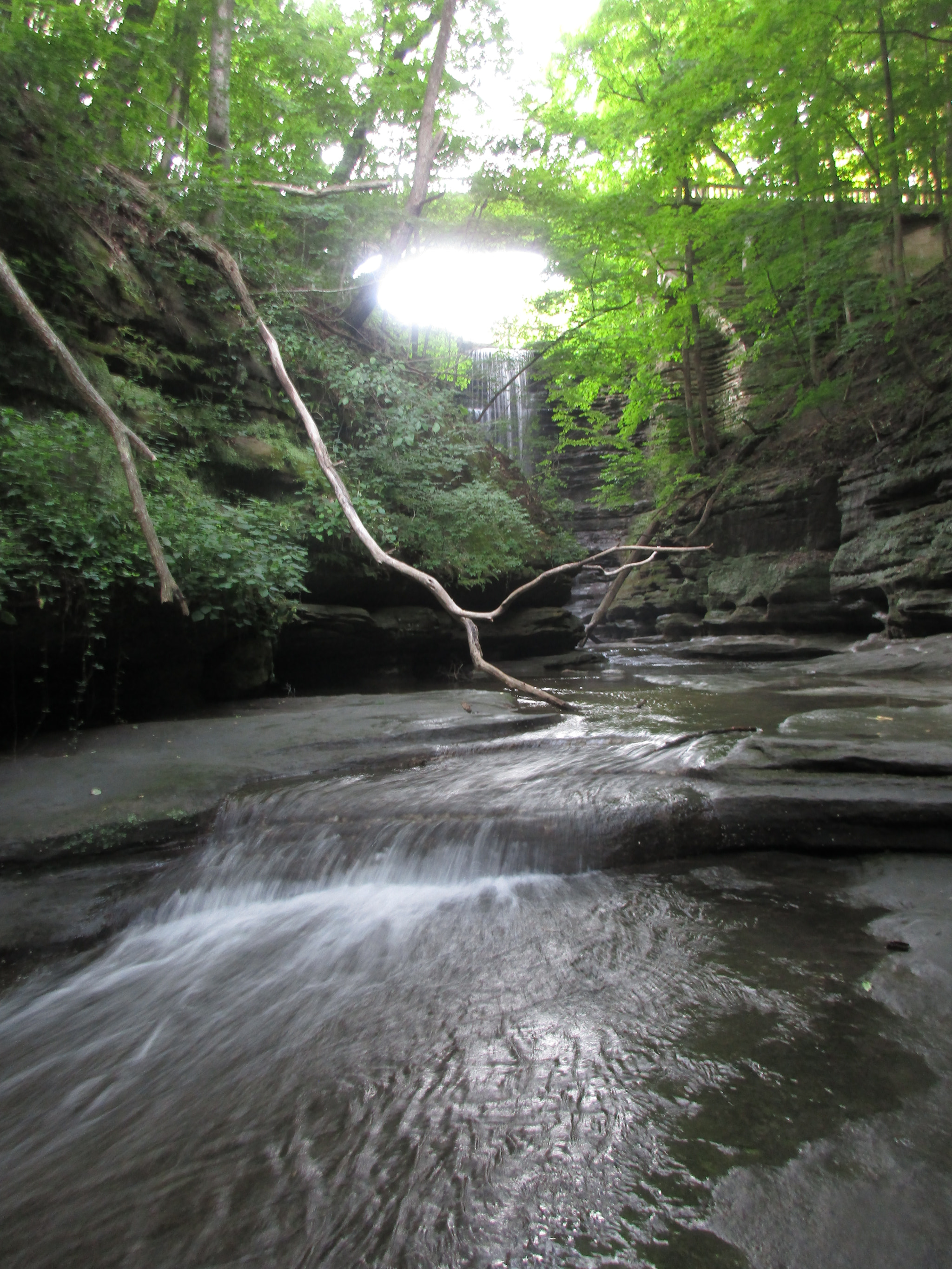Canon PowerShot ELPH 170 IS (IXUS 170 / IXY 170) sample photo. Img photography