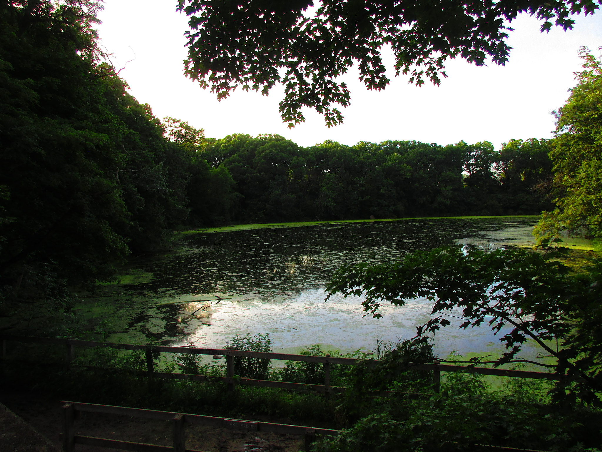 Canon PowerShot ELPH 170 IS (IXUS 170 / IXY 170) sample photo. Img photography
