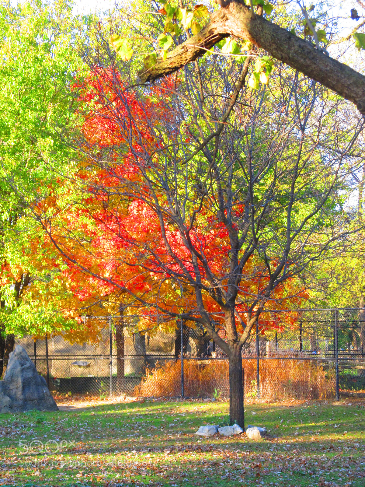 Canon PowerShot SX130 IS sample photo. Img photography