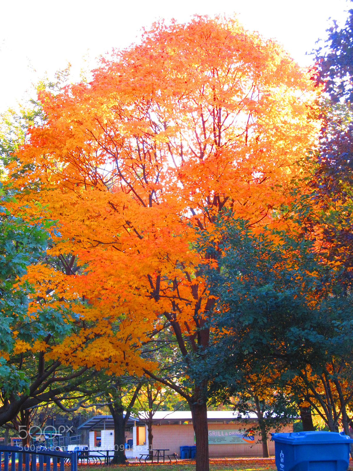 Canon PowerShot SX130 IS sample photo. Img photography