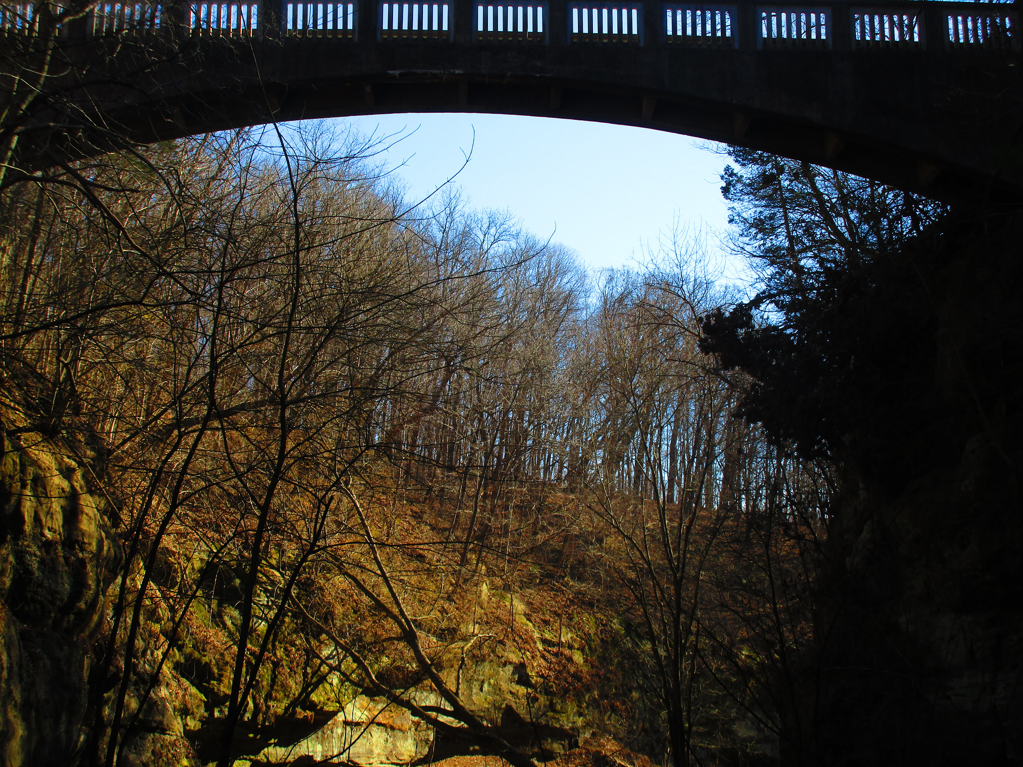 Canon PowerShot ELPH 170 IS (IXUS 170 / IXY 170) sample photo. Img photography