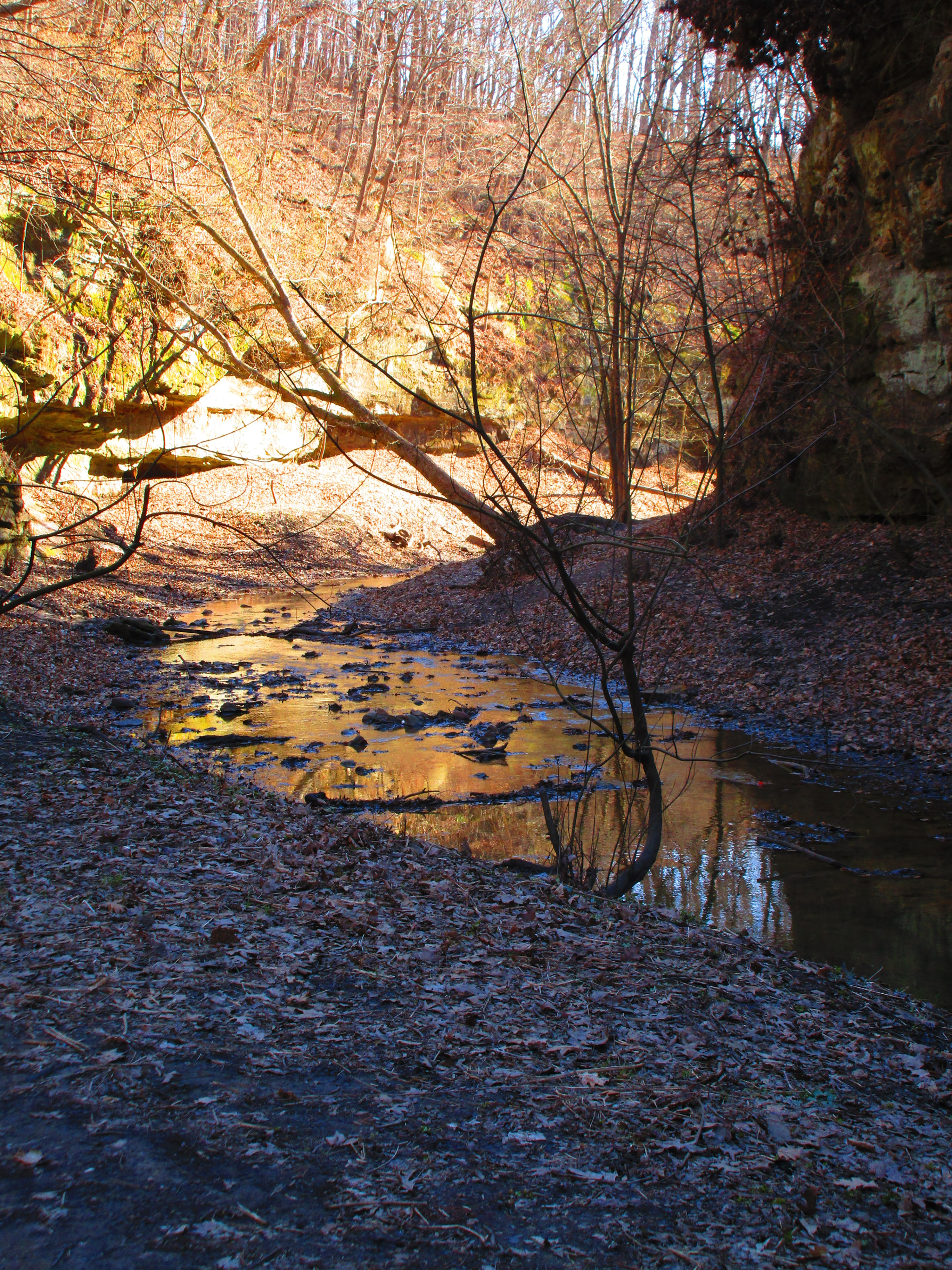 Canon PowerShot ELPH 170 IS (IXUS 170 / IXY 170) sample photo. Img photography