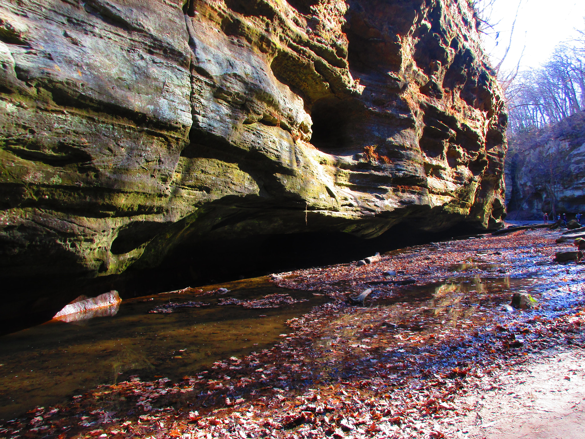Canon PowerShot ELPH 170 IS (IXUS 170 / IXY 170) sample photo. Img photography