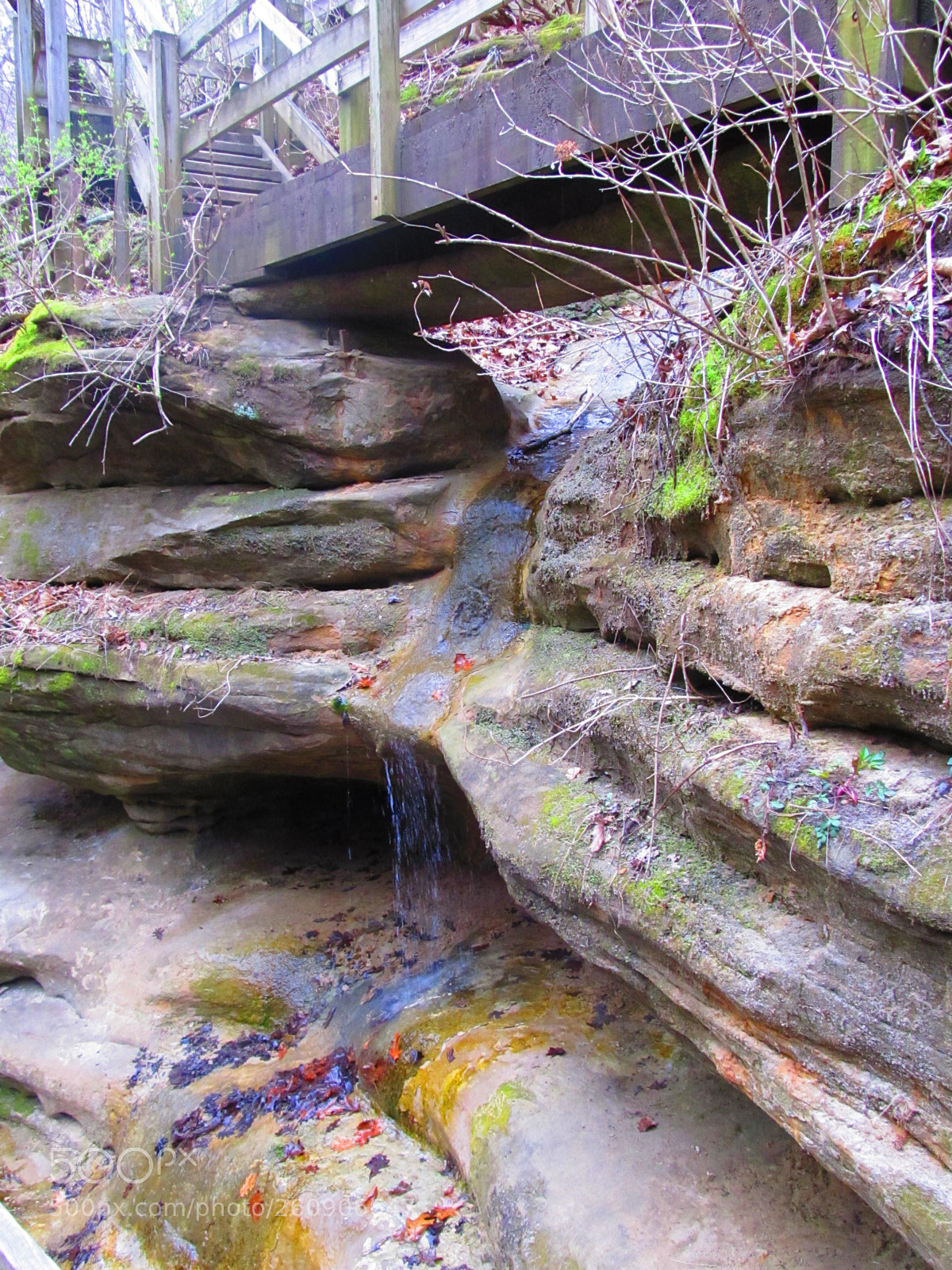 Canon PowerShot SX130 IS sample photo. Img photography