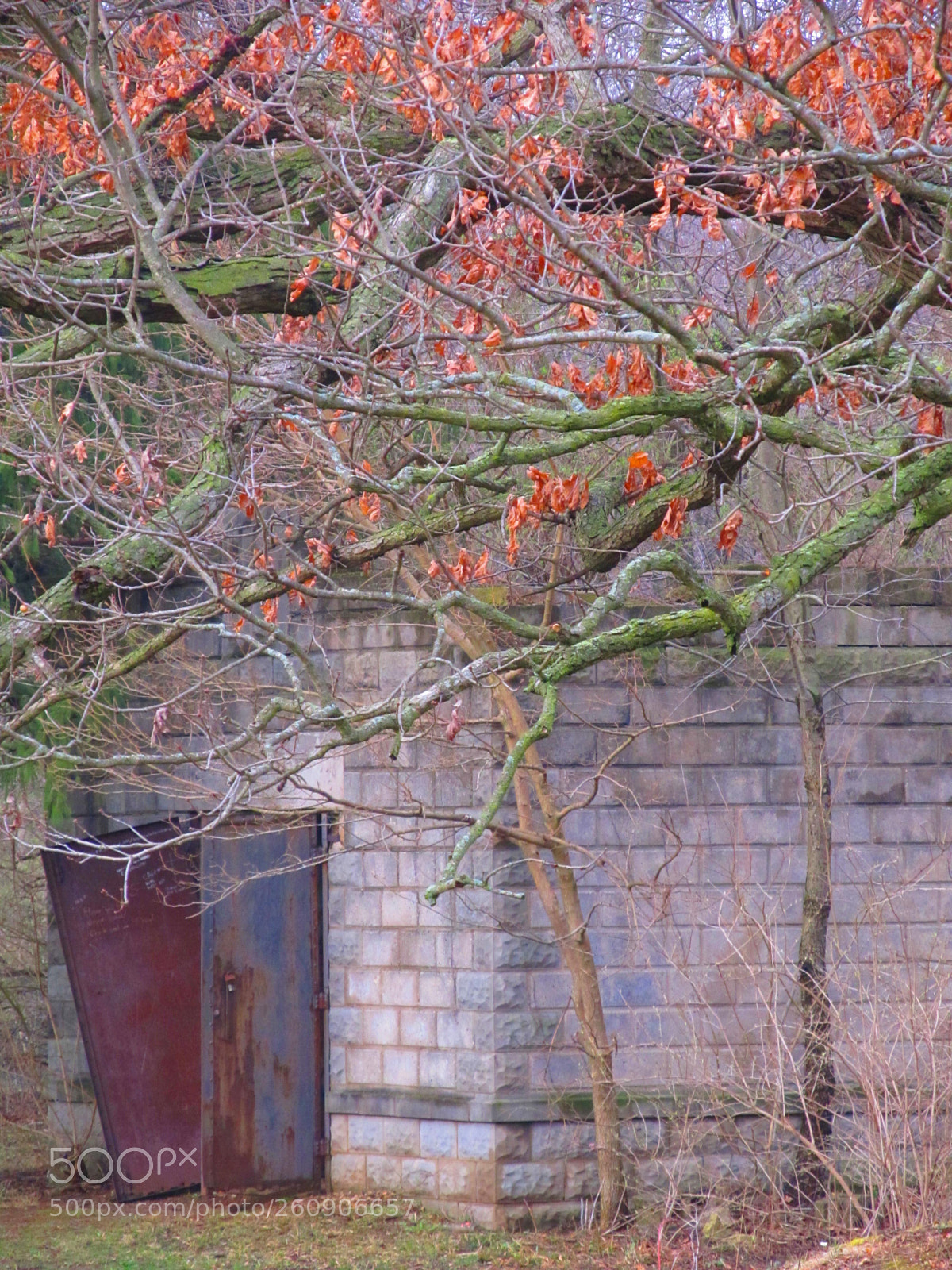 Canon PowerShot SX130 IS sample photo. Img photography