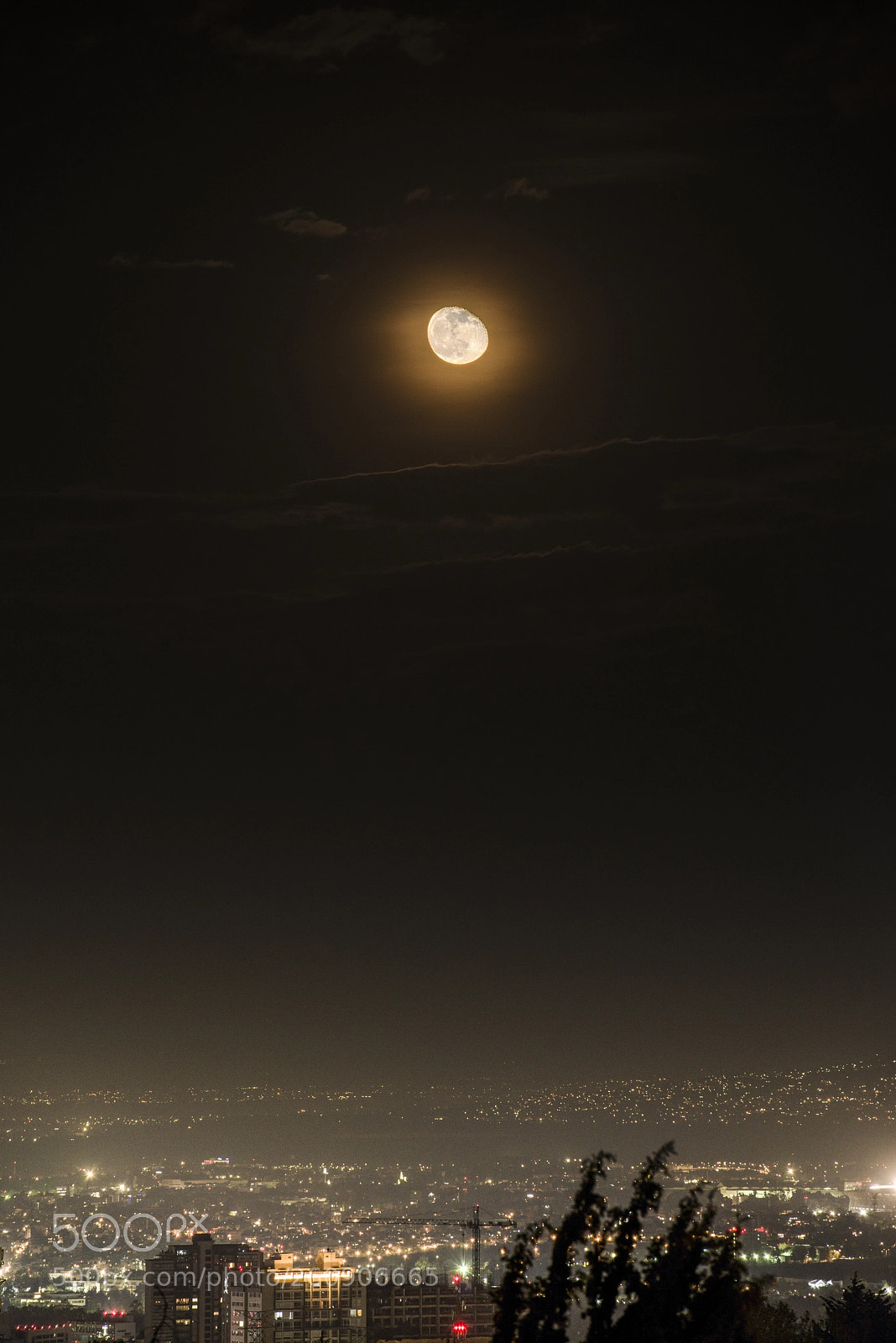 Nikon D800E sample photo. Yellow moon photography