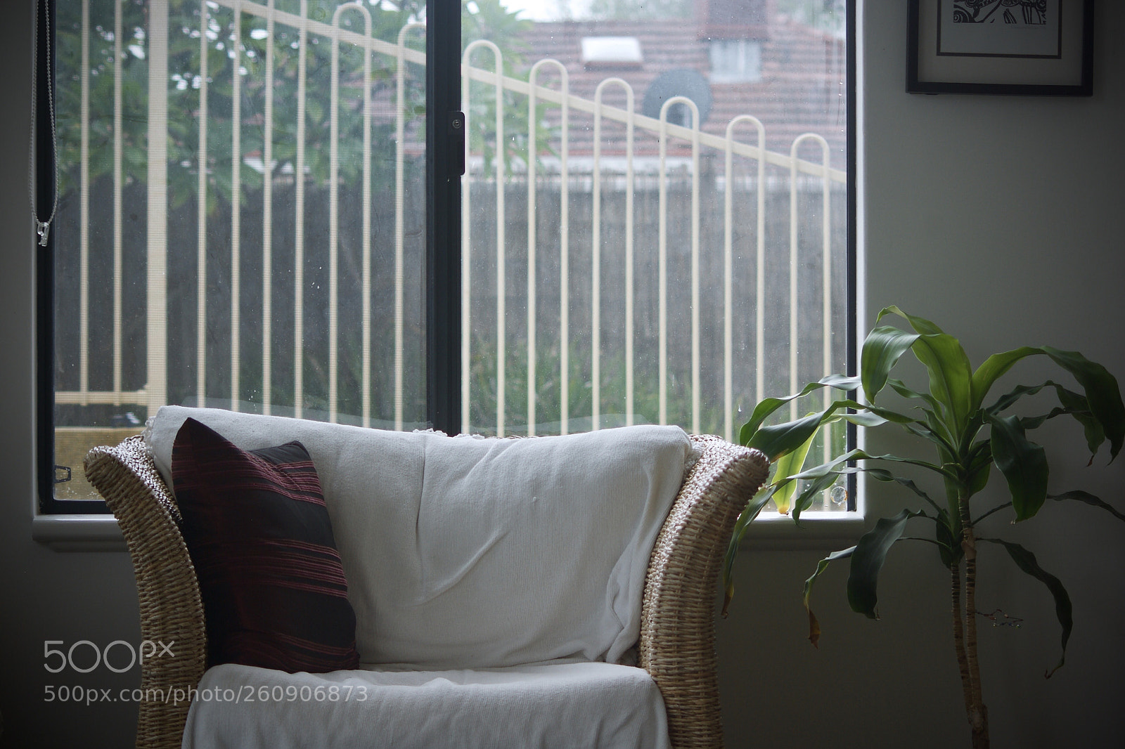 Pentax K10D sample photo. Day off photography