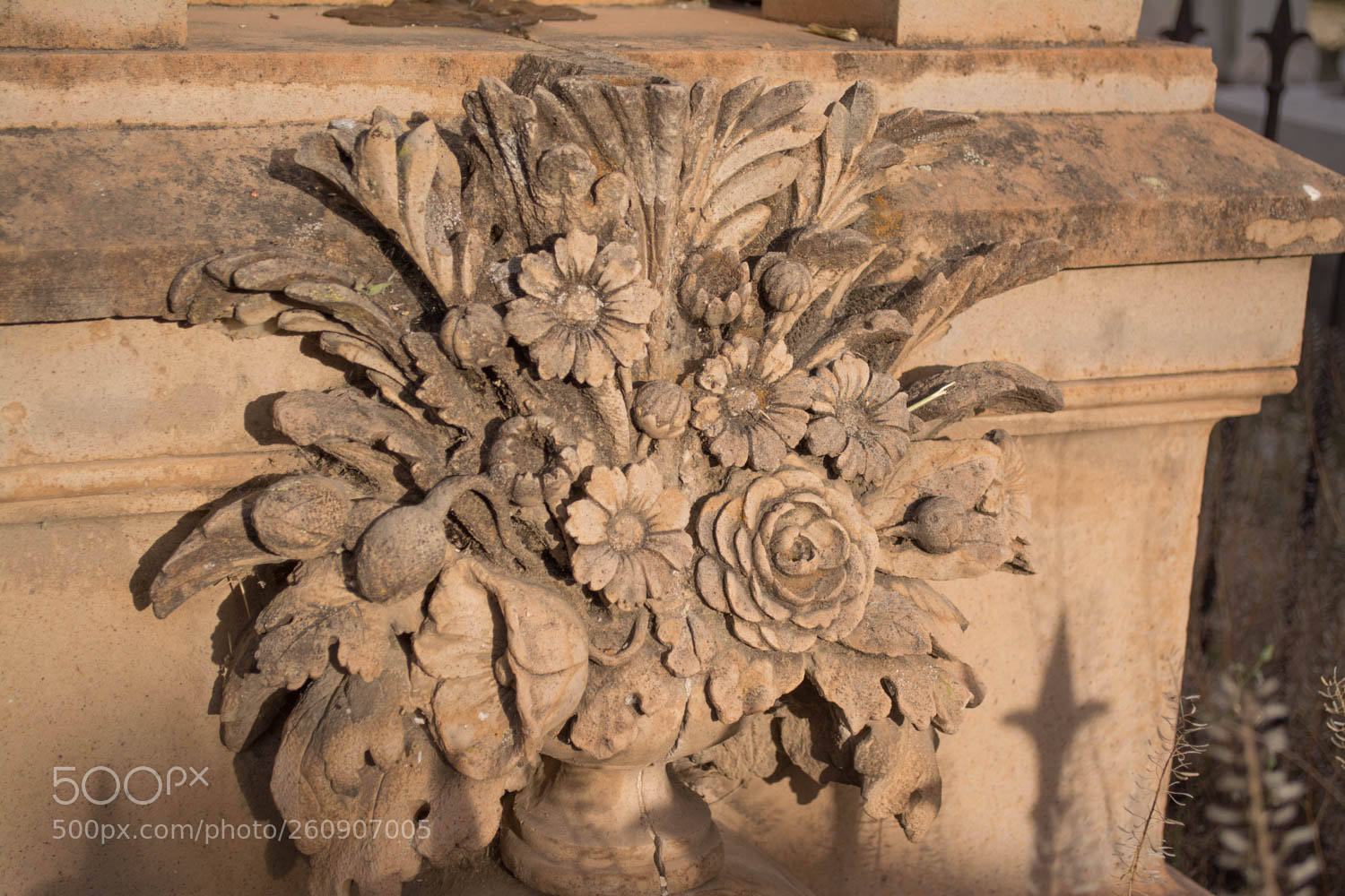 Nikon D5200 sample photo. Flor eterna photography