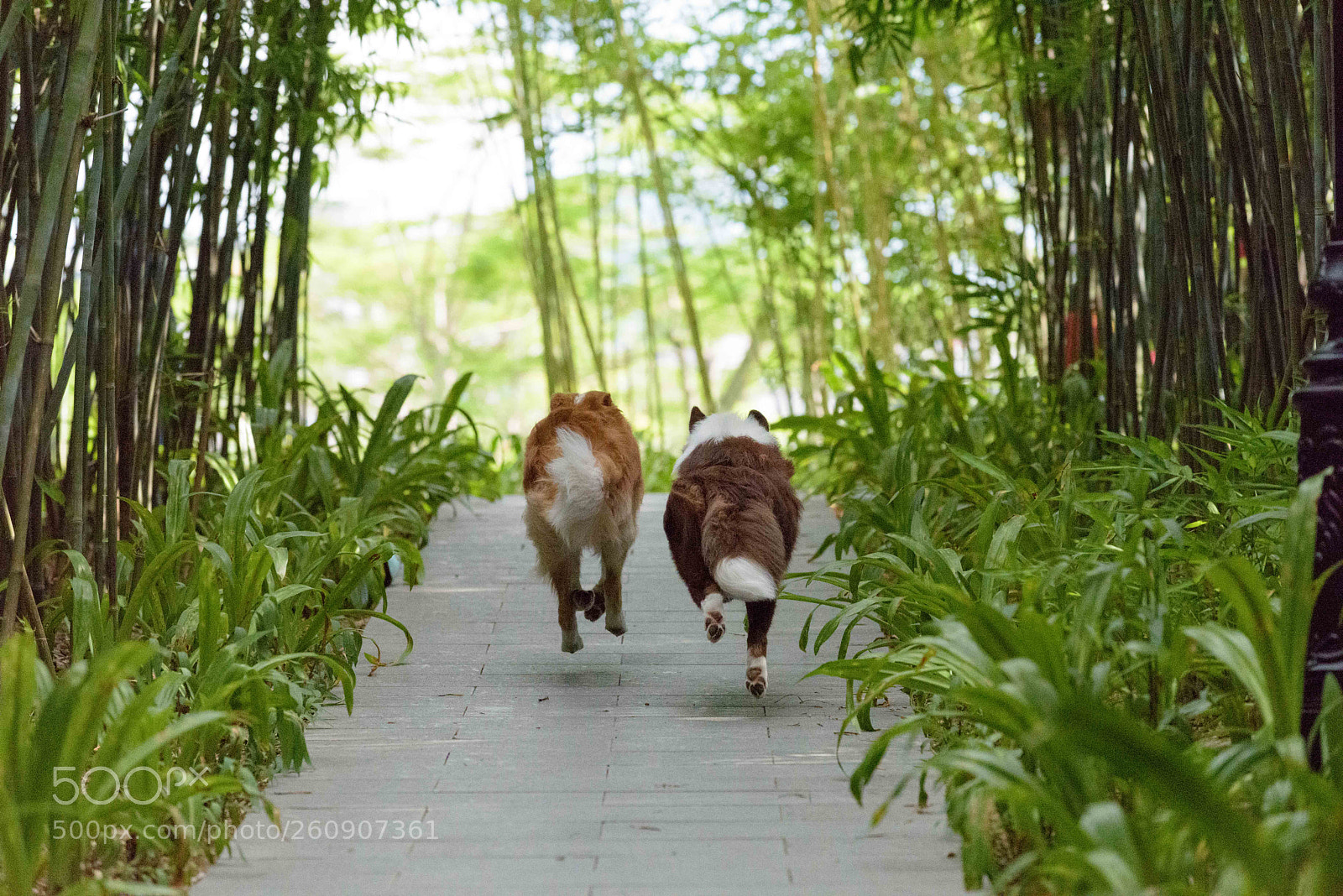 Nikon D810 sample photo. Untitled photography