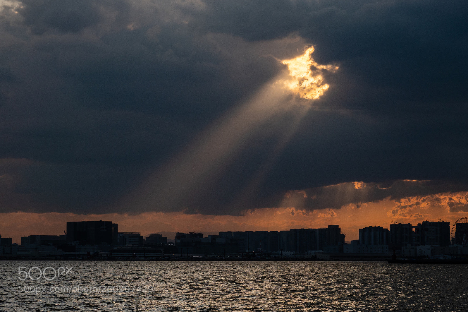 Sony Cyber-shot DSC-RX10 IV sample photo. Spot light photography
