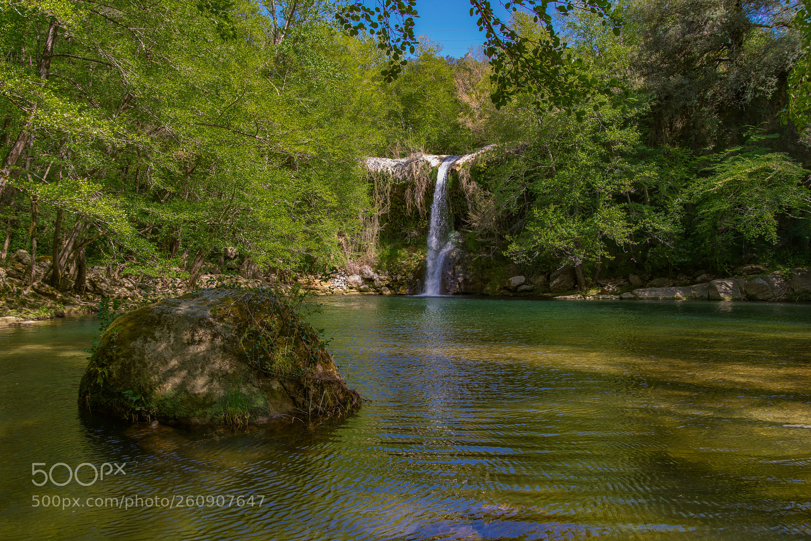 Nikon D610 sample photo. Gorg de santa margarida photography