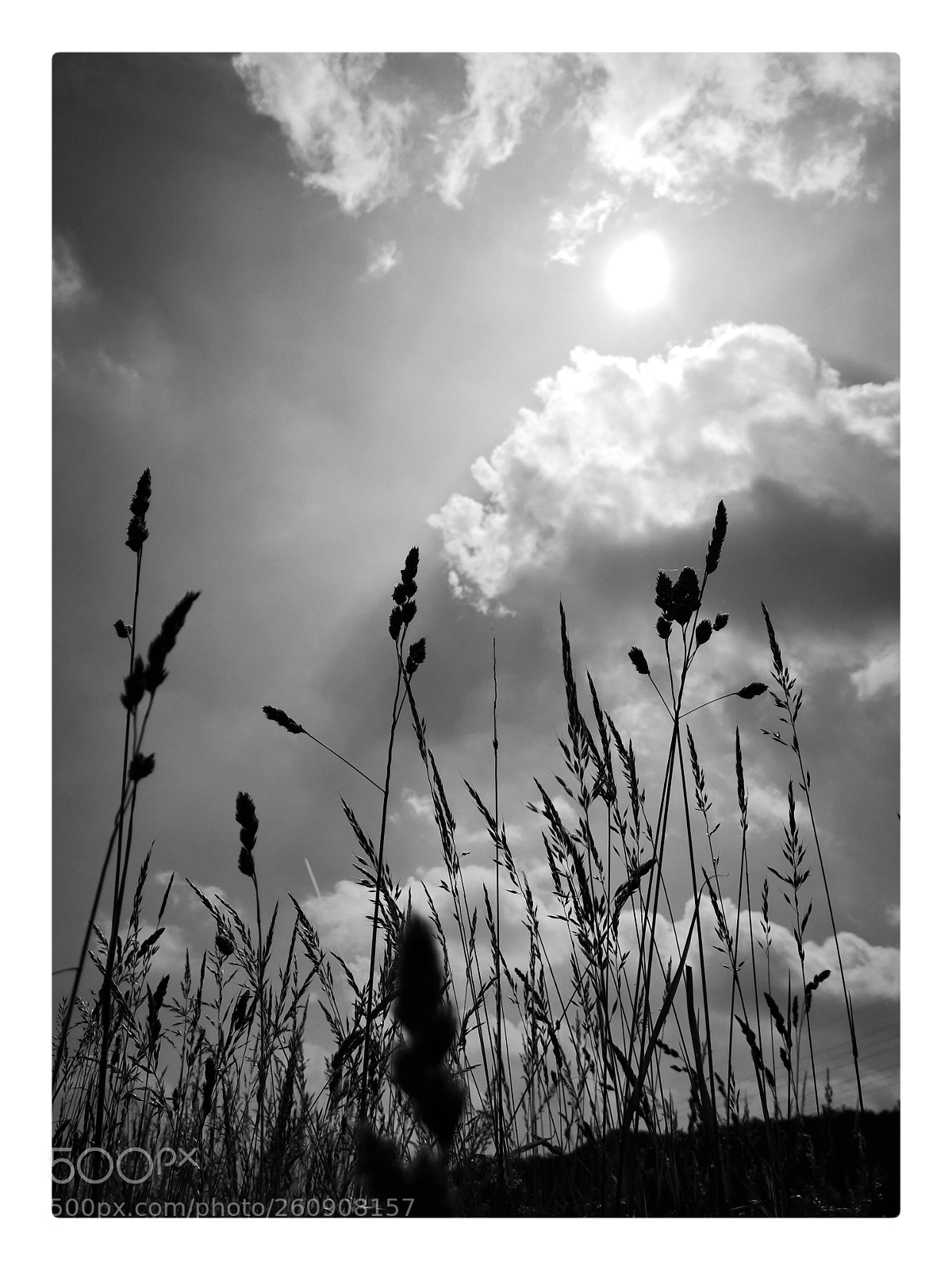 HUAWEI P20 sample photo. Landscape photography