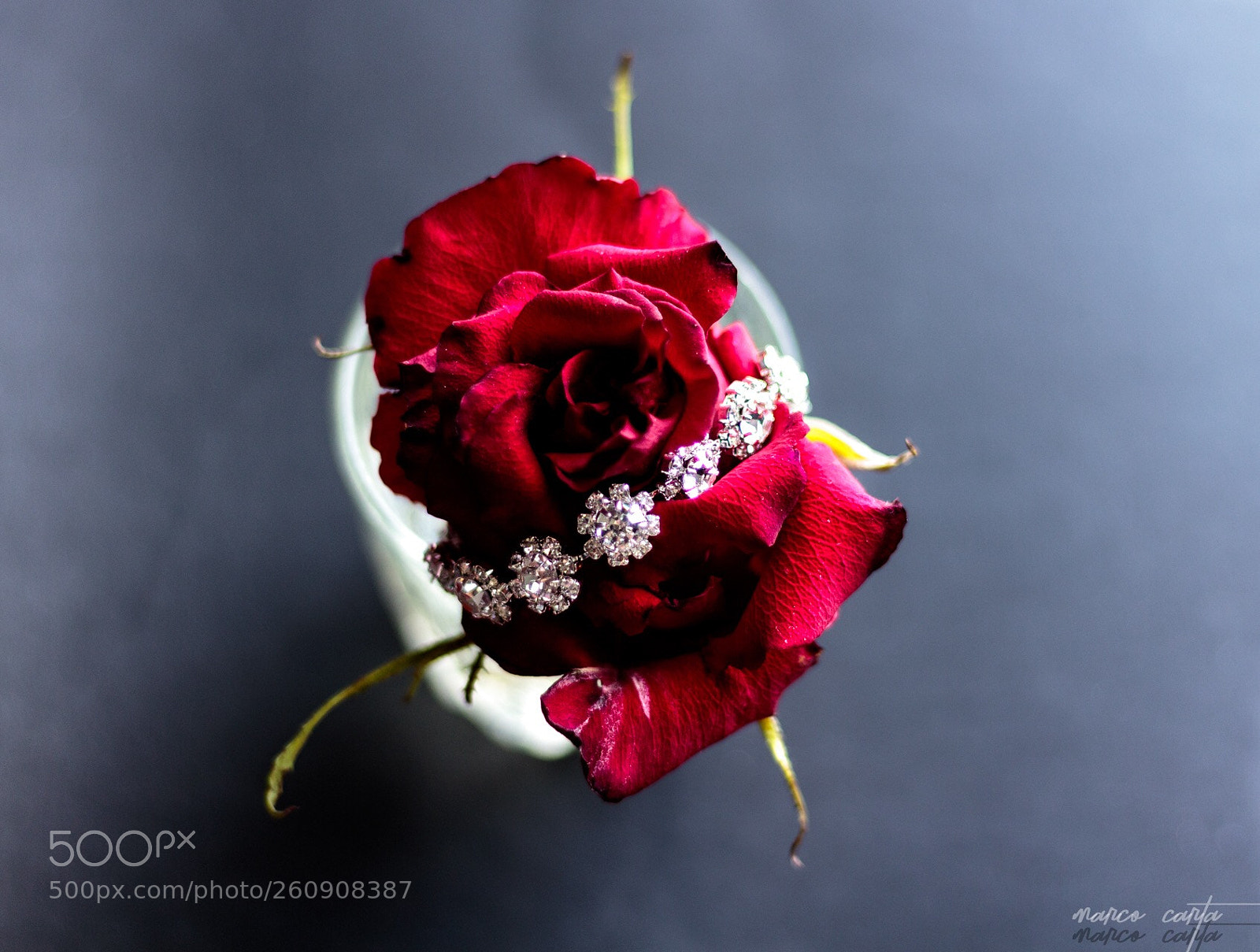 Canon EOS 1300D (EOS Rebel T6 / EOS Kiss X80) sample photo. Rose photography