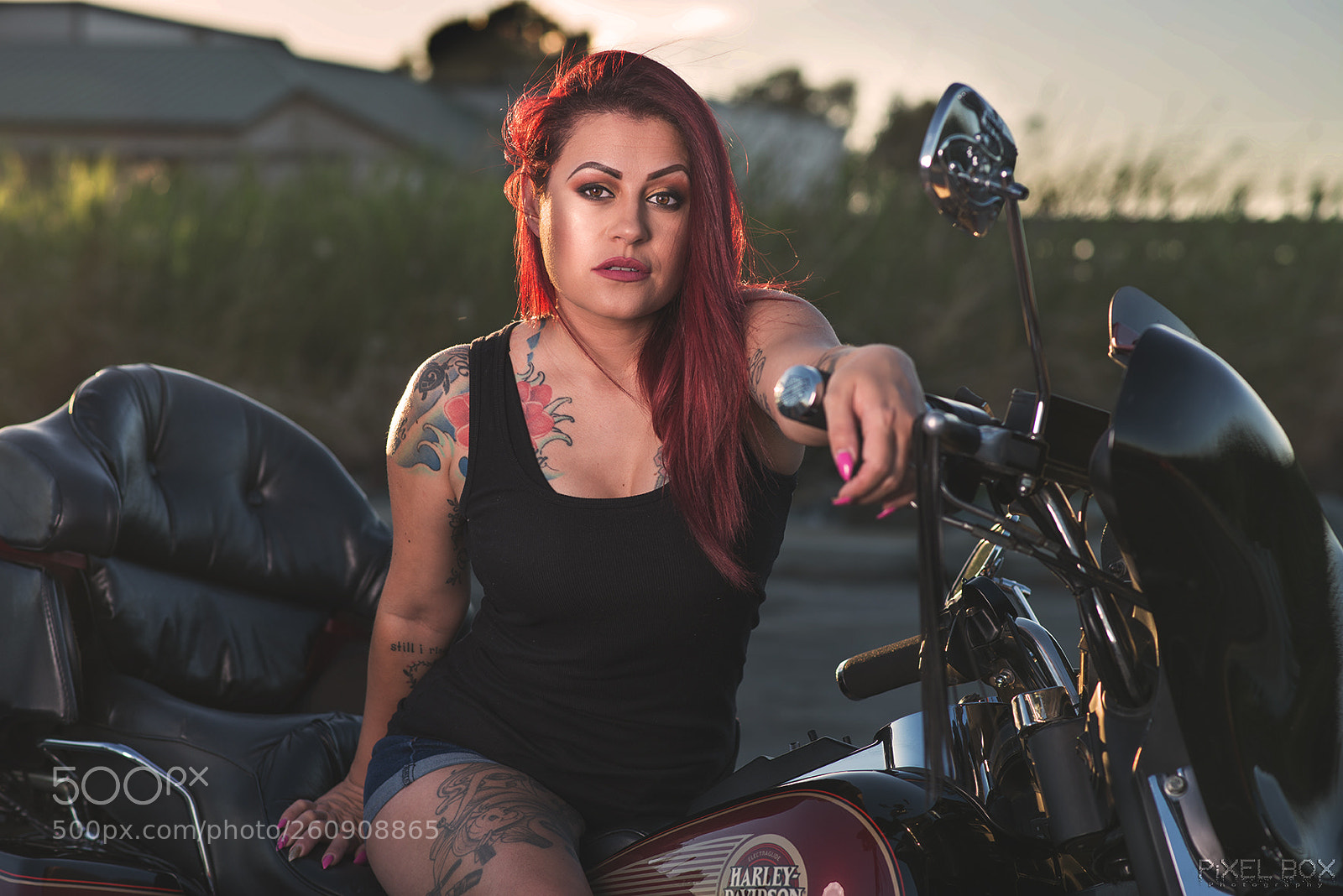 Nikon D800 sample photo. Biker babe photography