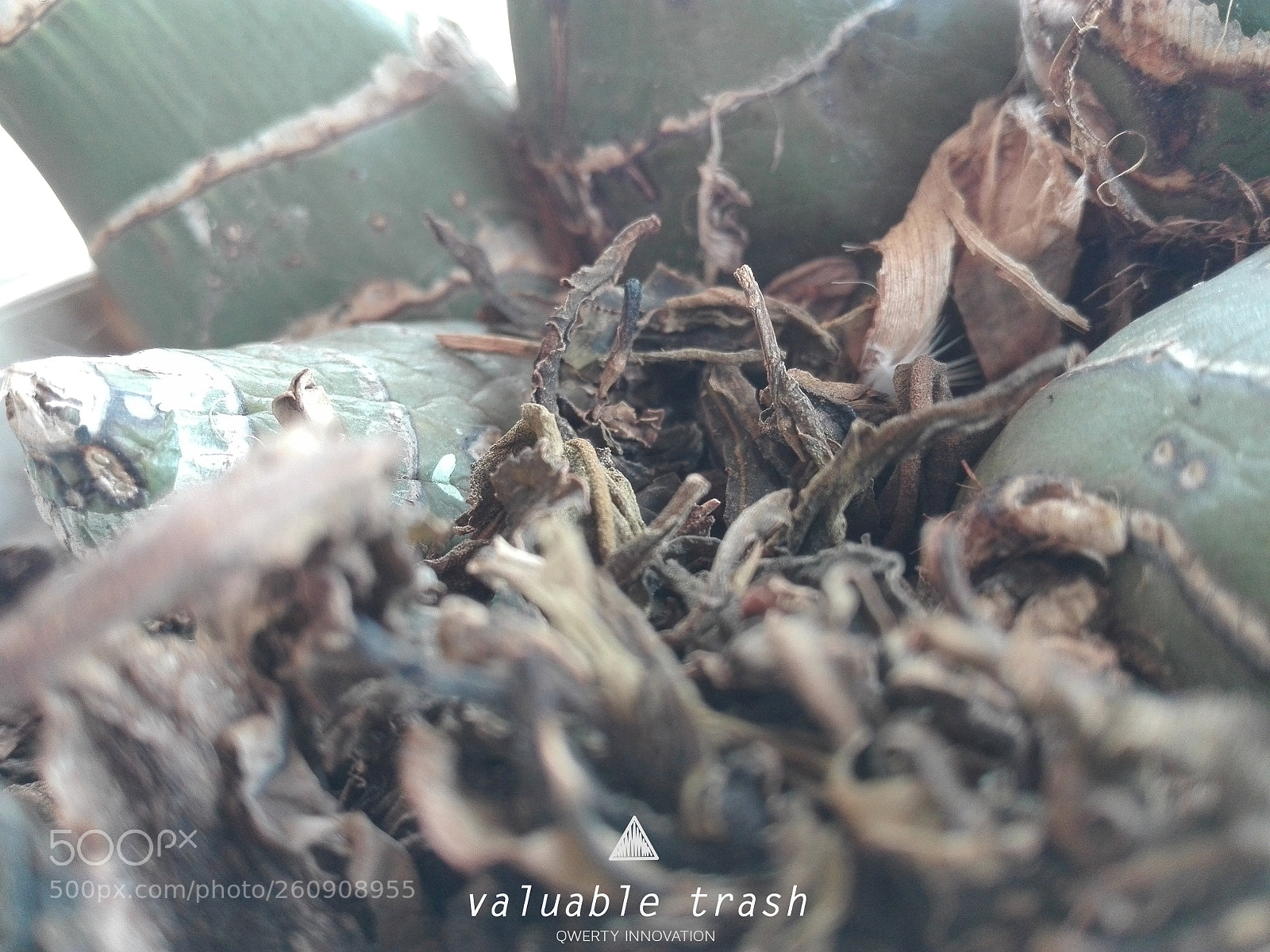 HUAWEI P8 Lite sample photo. Valuabletrash photography