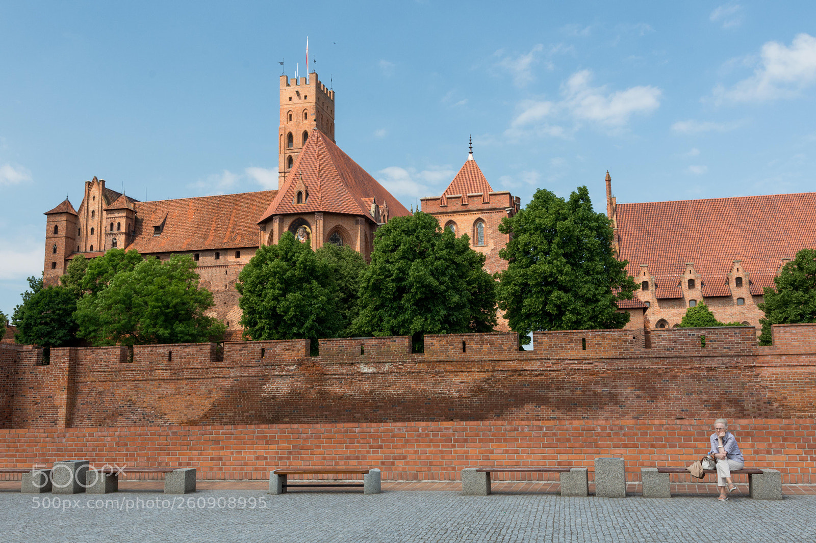 Nikon D7200 sample photo. Malbork - poland photography