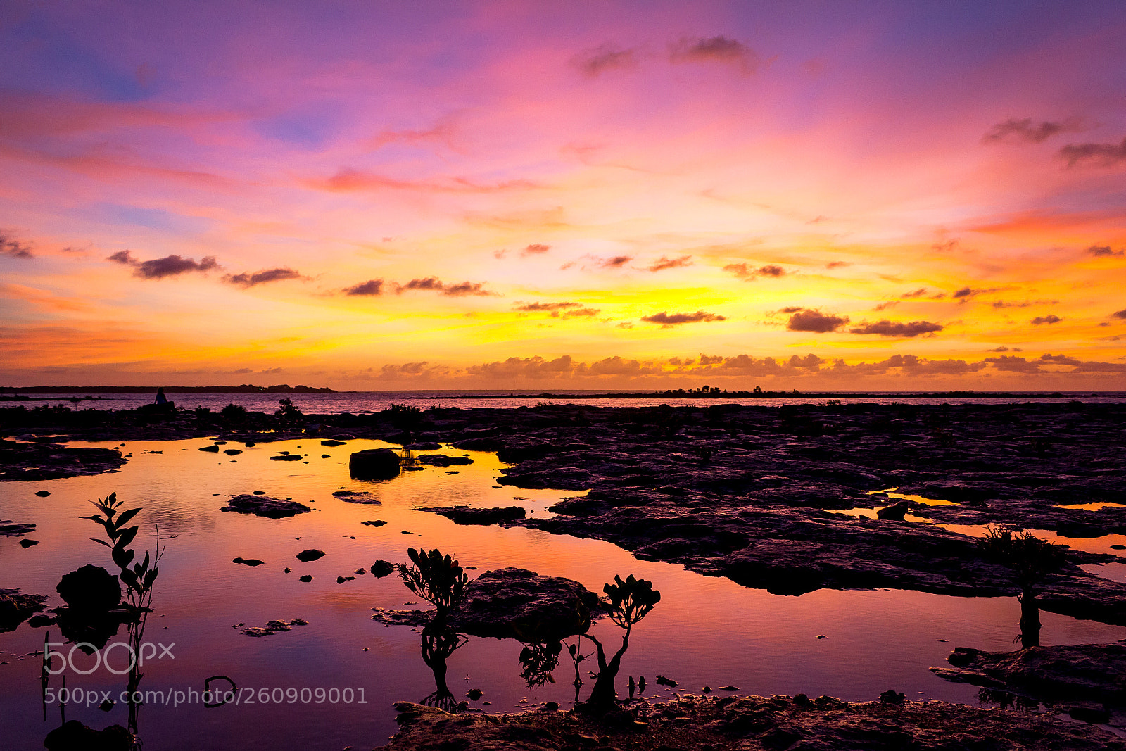 Canon EOS 550D (EOS Rebel T2i / EOS Kiss X4) sample photo. Darwin sunset photography