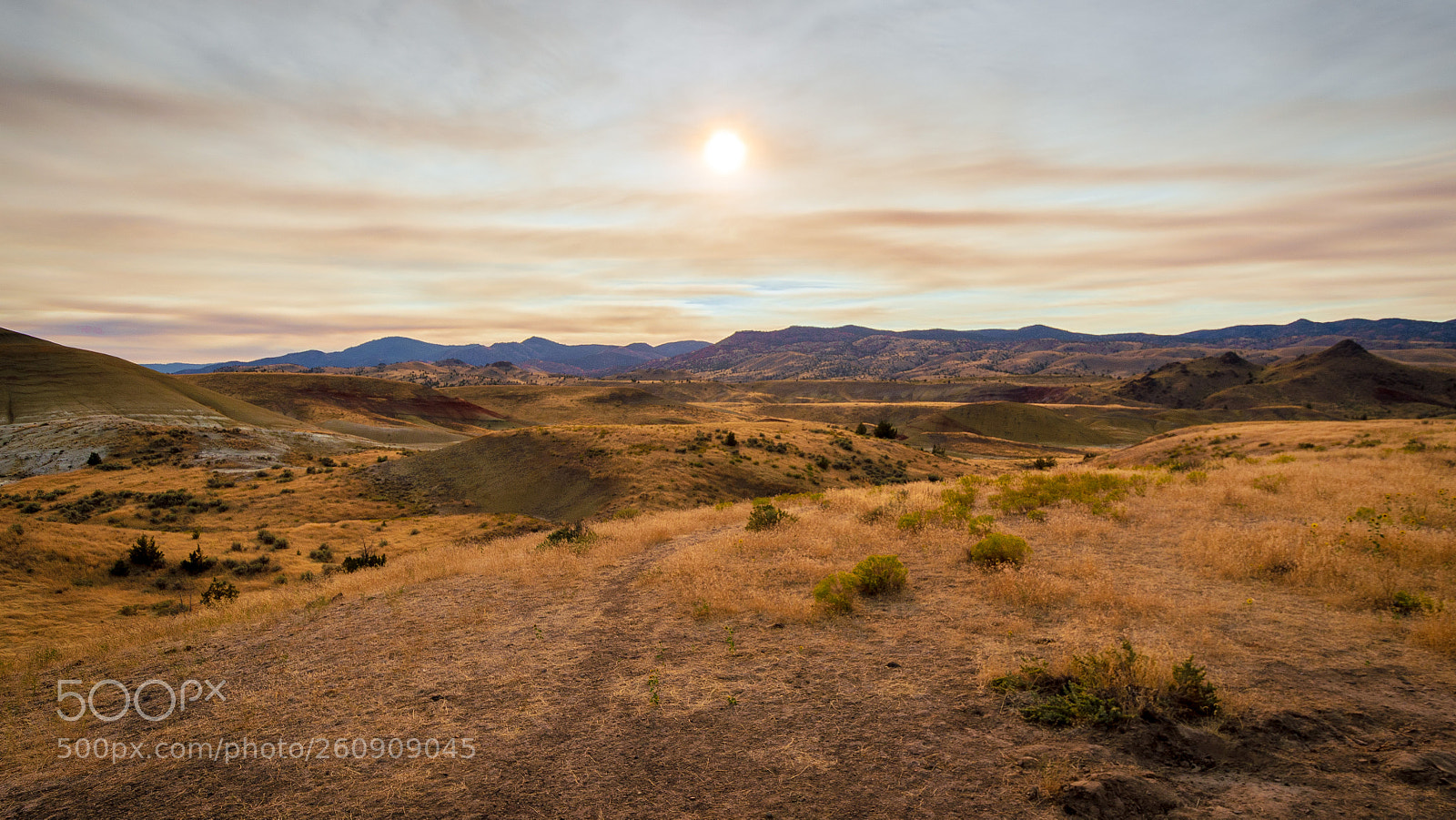 Nikon D5100 sample photo. Oregon hills photography