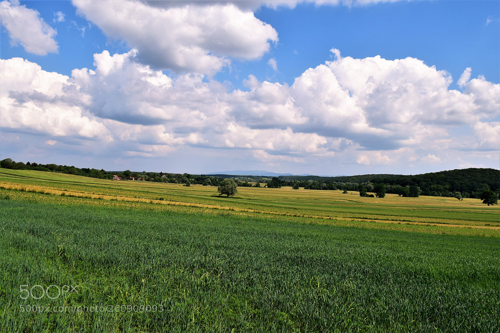 Nikon D3300 sample photo. Velika barna photography
