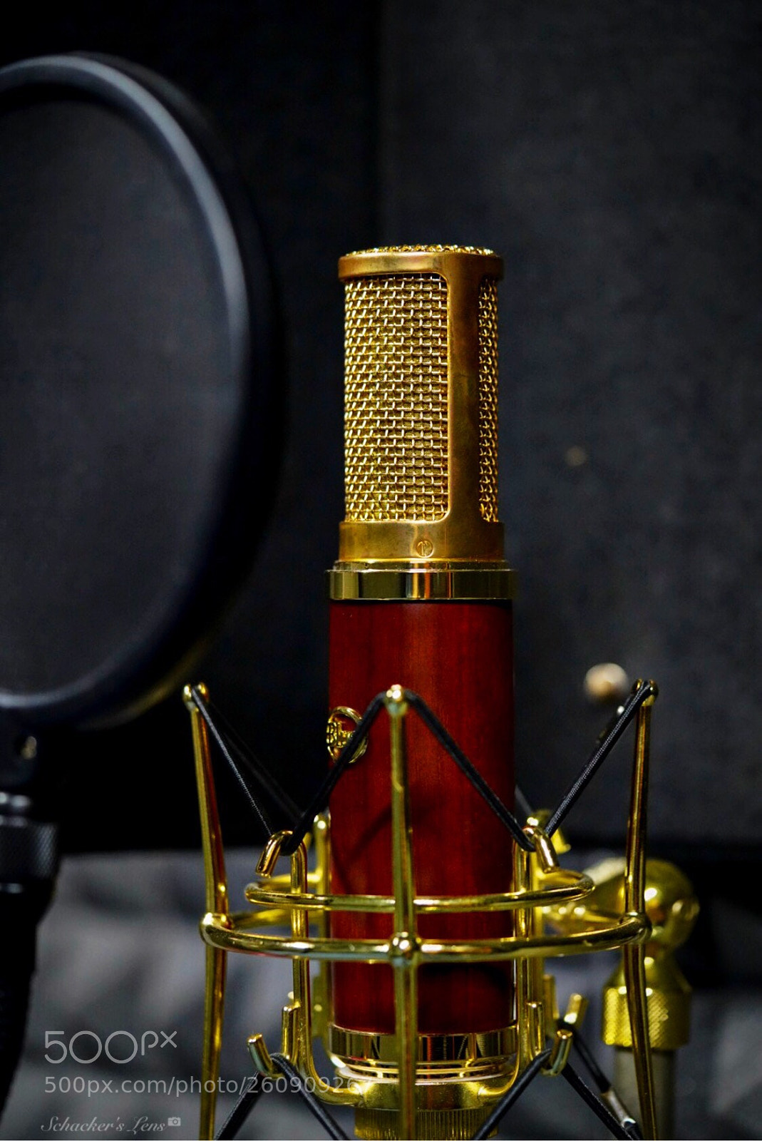 Sony a7R III sample photo. Microphone photography
