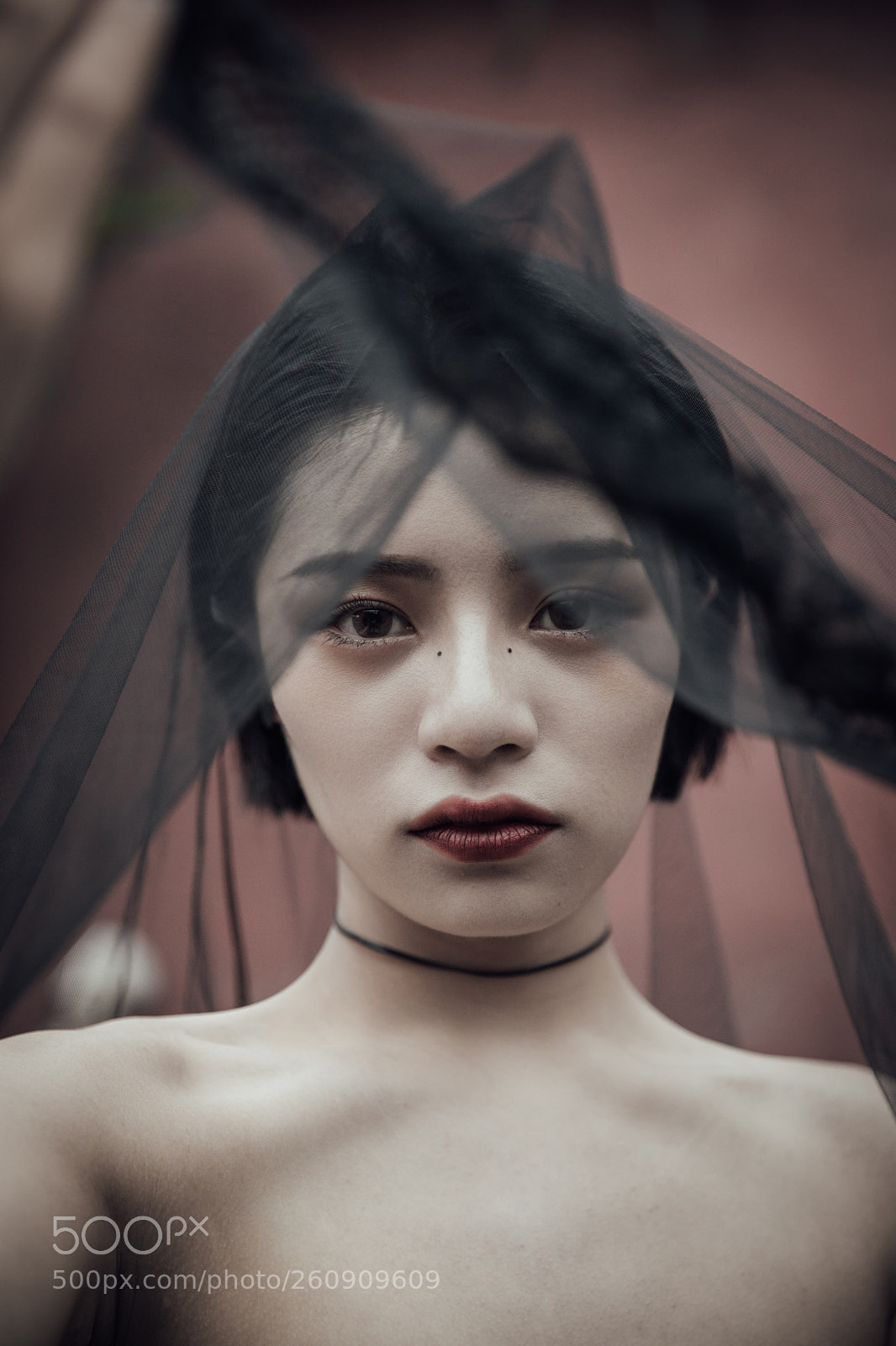 Canon EOS 5D Mark IV sample photo. Untitled photography