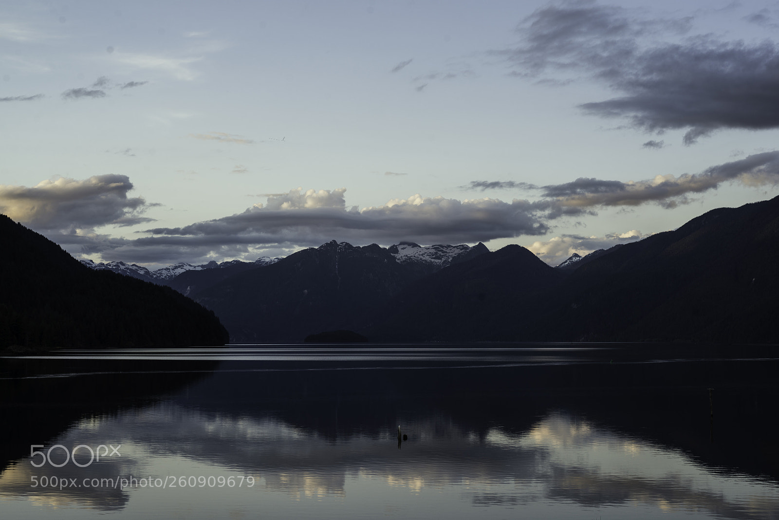 Nikon D600 sample photo. Pitt lake photography