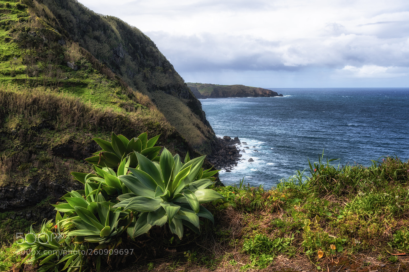 Nikon D850 sample photo. Sao miguel's north cost photography