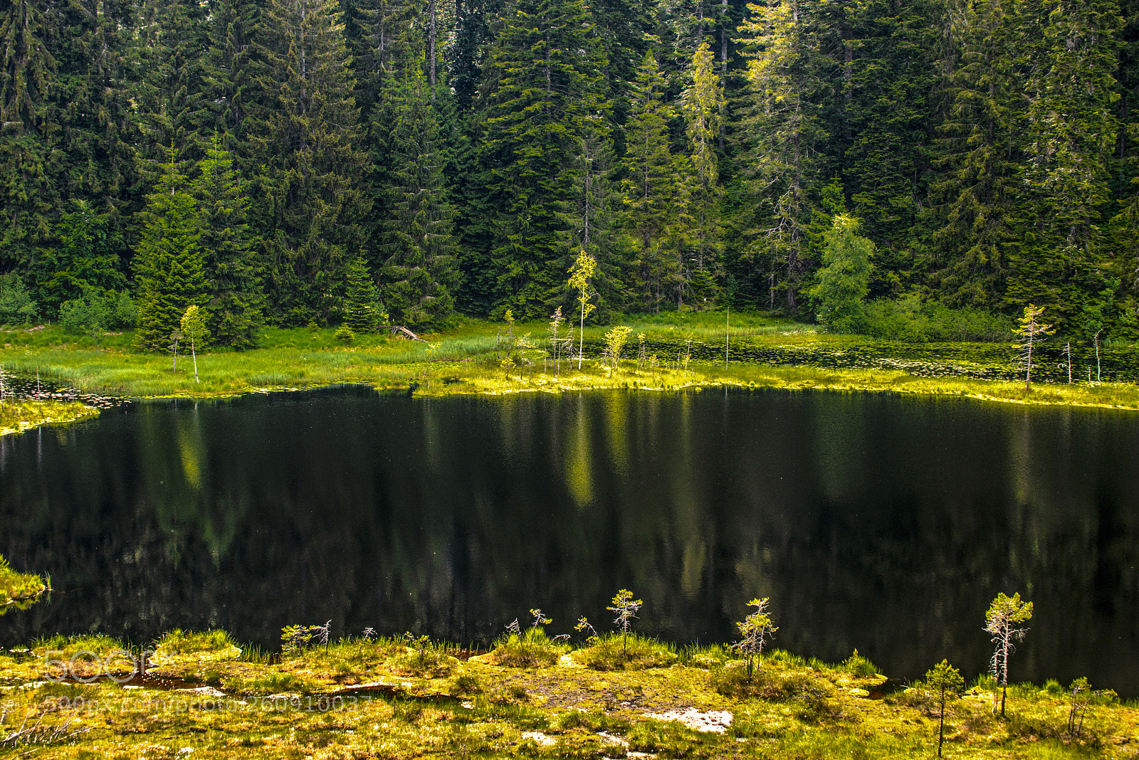 Nikon D800 sample photo. Mystic lake - reflection photography