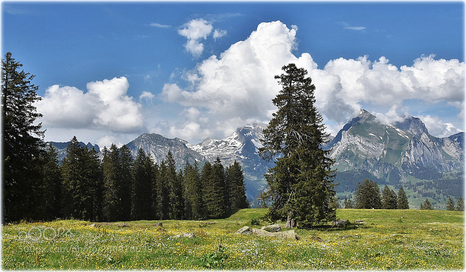 Nikon D7200 sample photo. "alp selamatt" photography