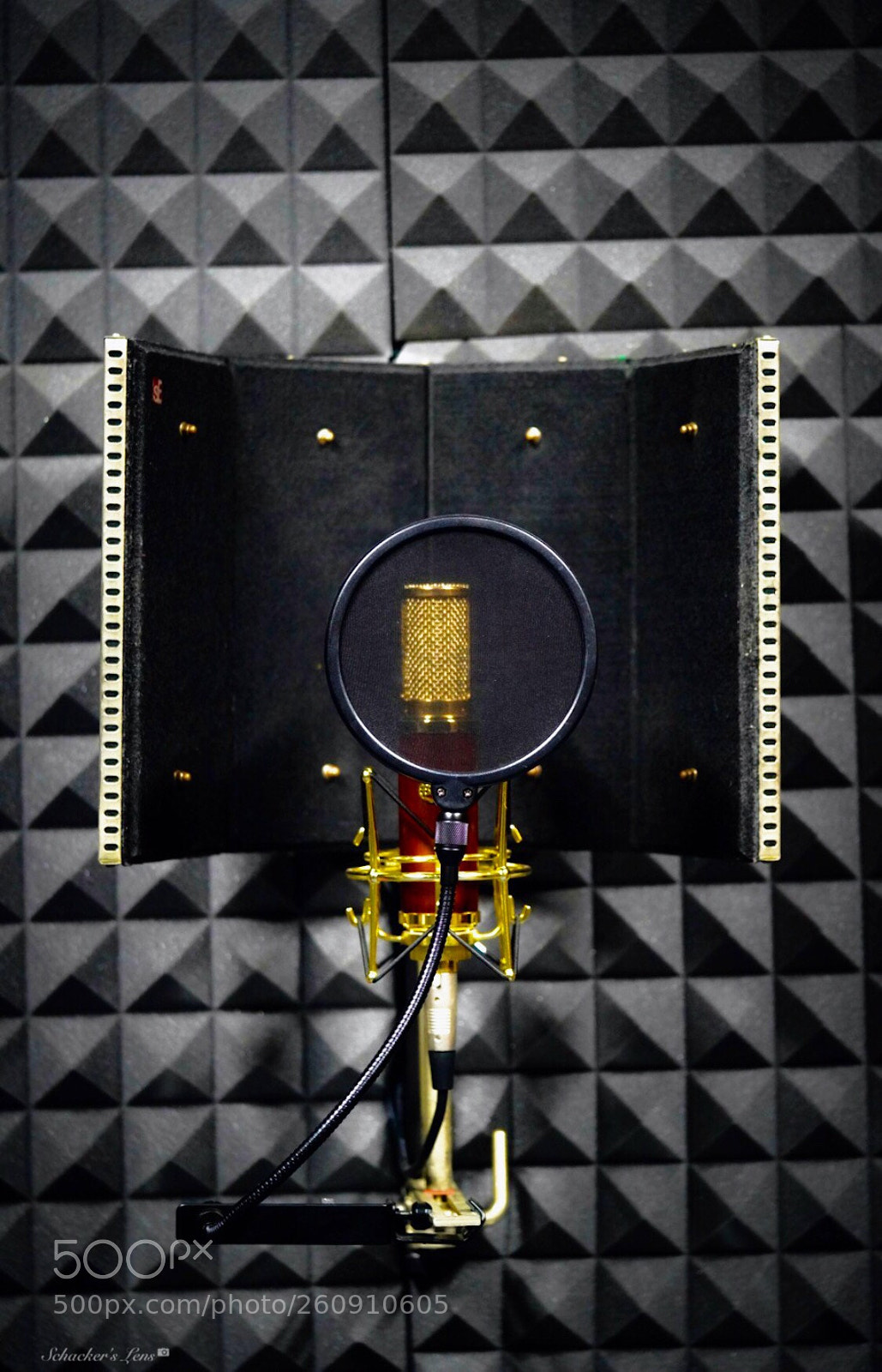 Sony a7R III sample photo. Microphone2 photography