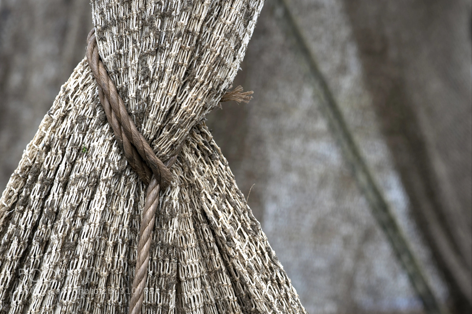 Nikon D5300 sample photo. Well arranged photography