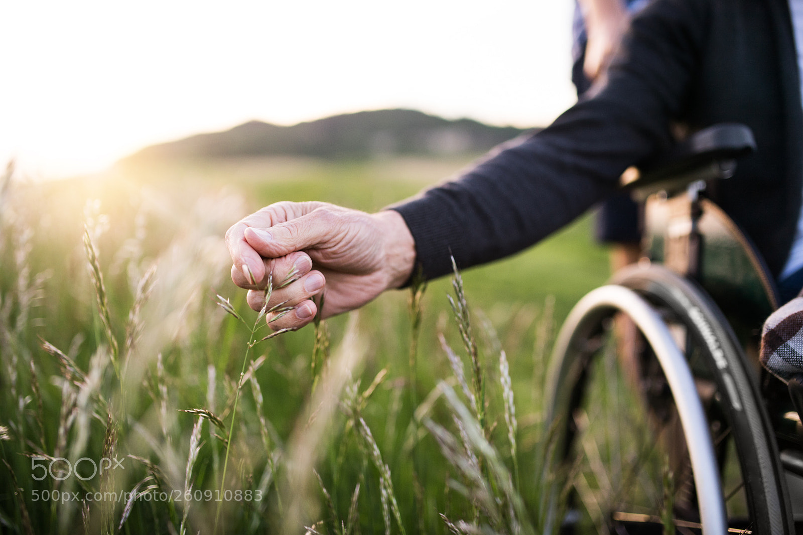 Nikon D5 sample photo. A hand of a photography