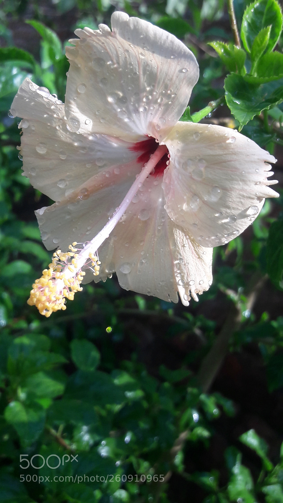 Samsung Galaxy J7 sample photo. Untitled photography