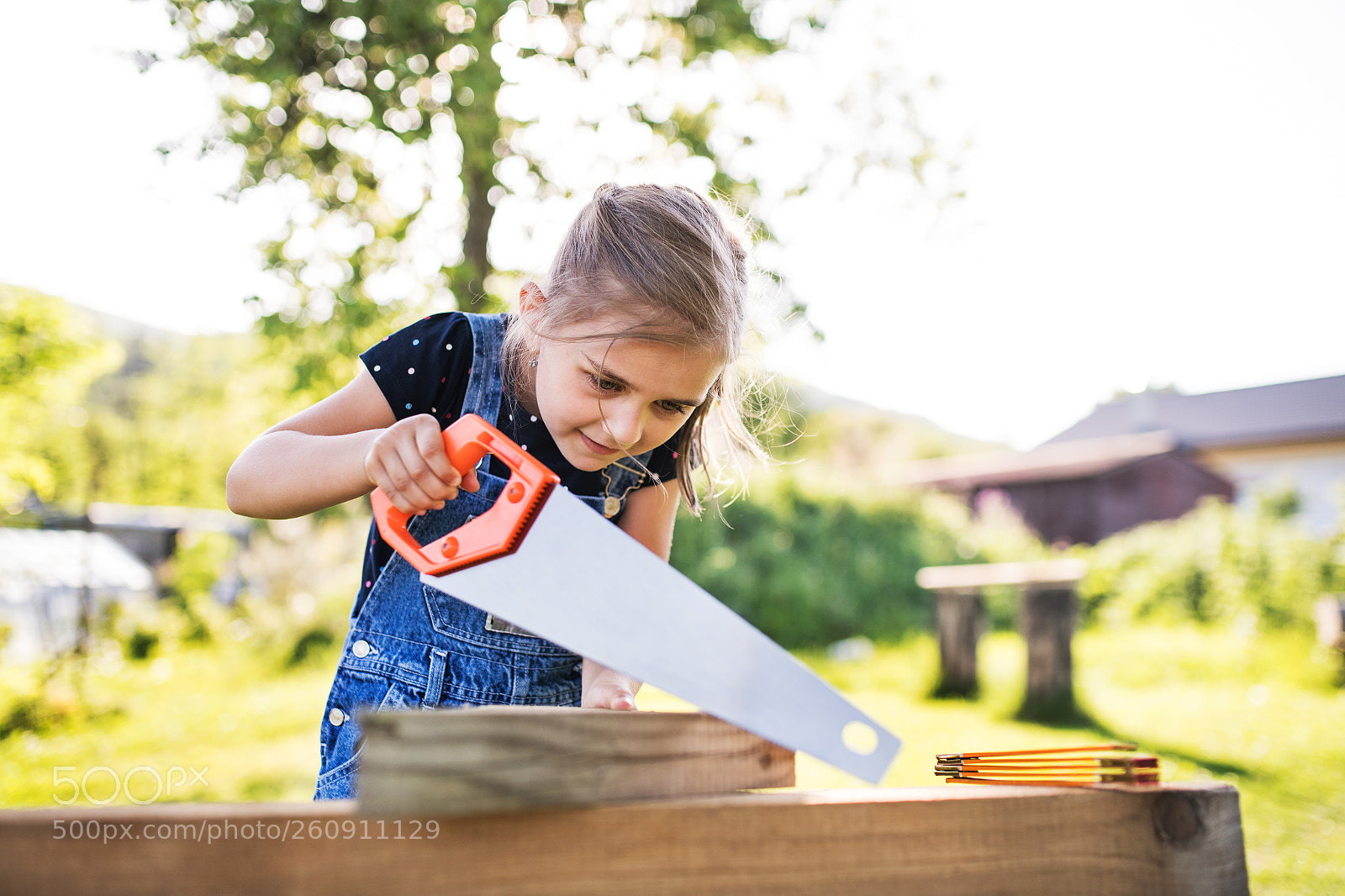 Nikon D5 sample photo. A small girl with photography