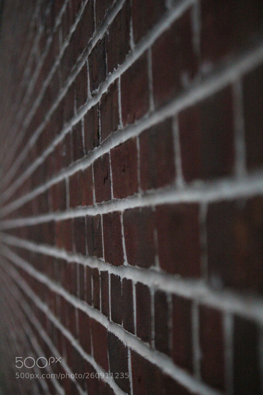 Canon EOS 600D (Rebel EOS T3i / EOS Kiss X5) sample photo. Img photography
